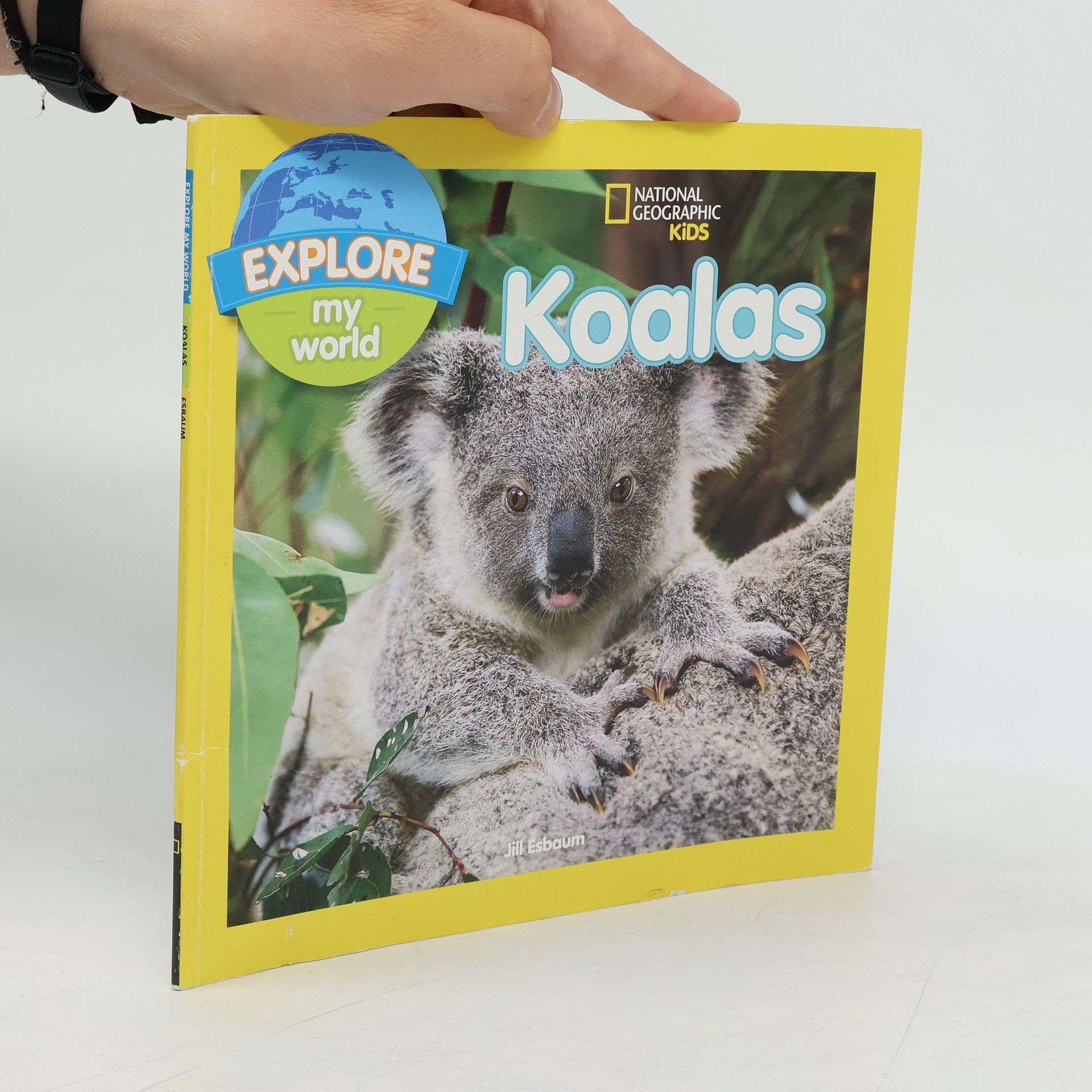 Jill Esbaum Koalas