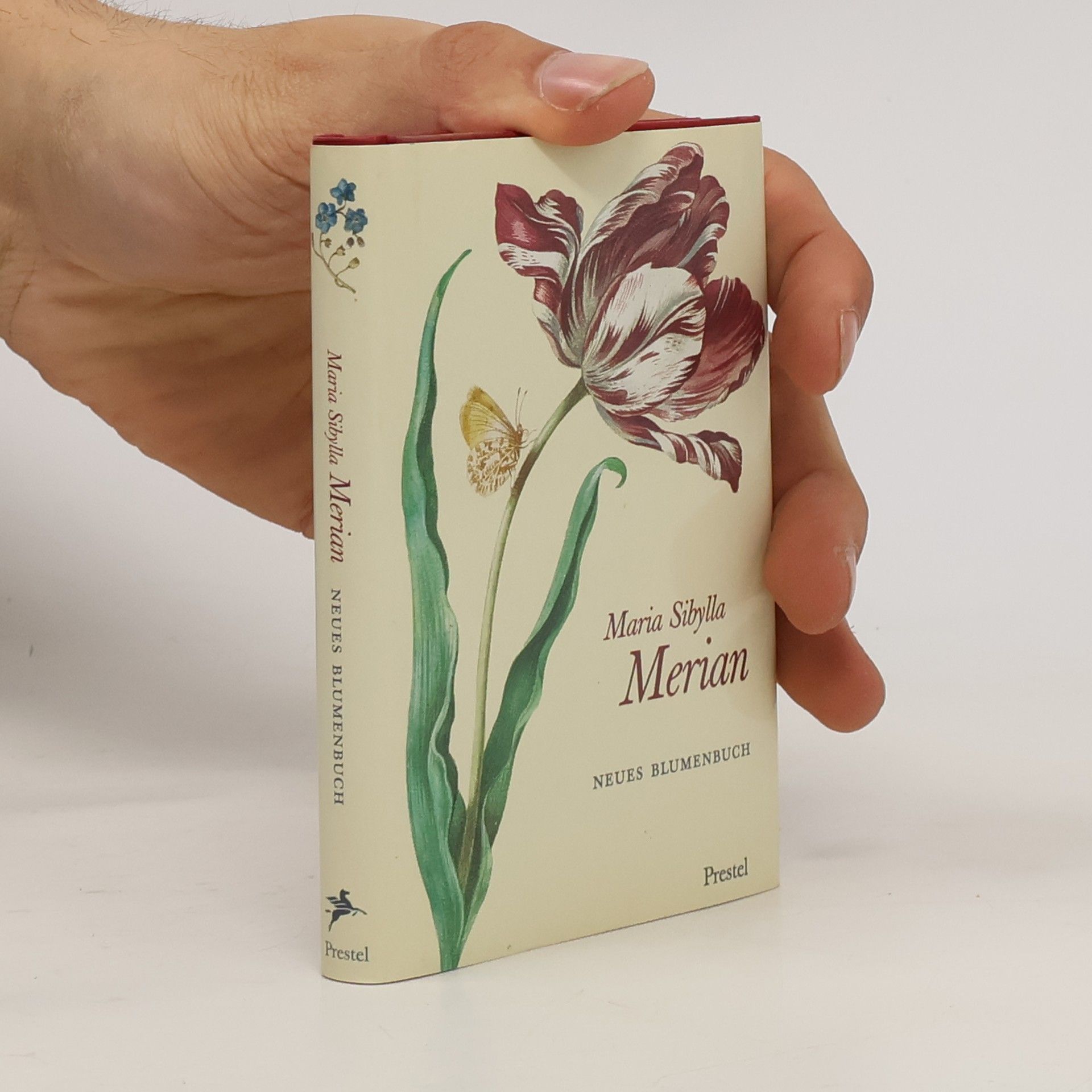 Maria Sibylla Merian Neues Blumenbuch