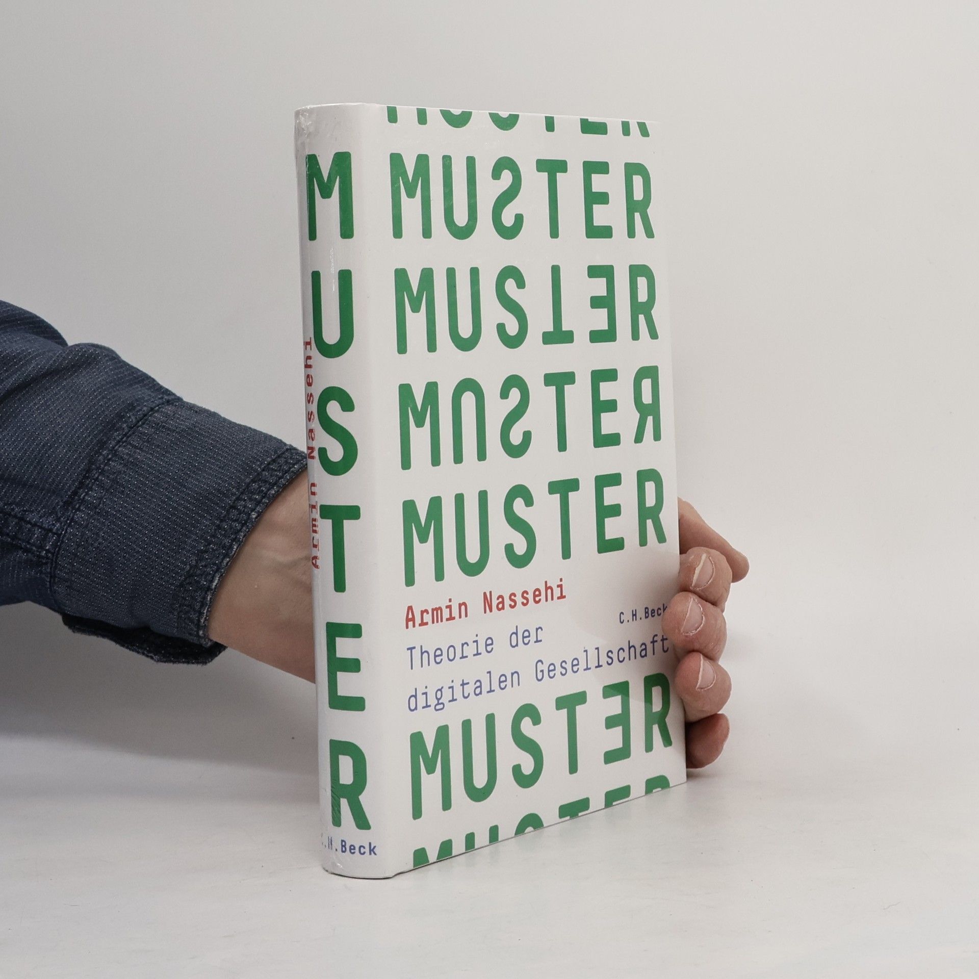 Armin Nassehi Muster