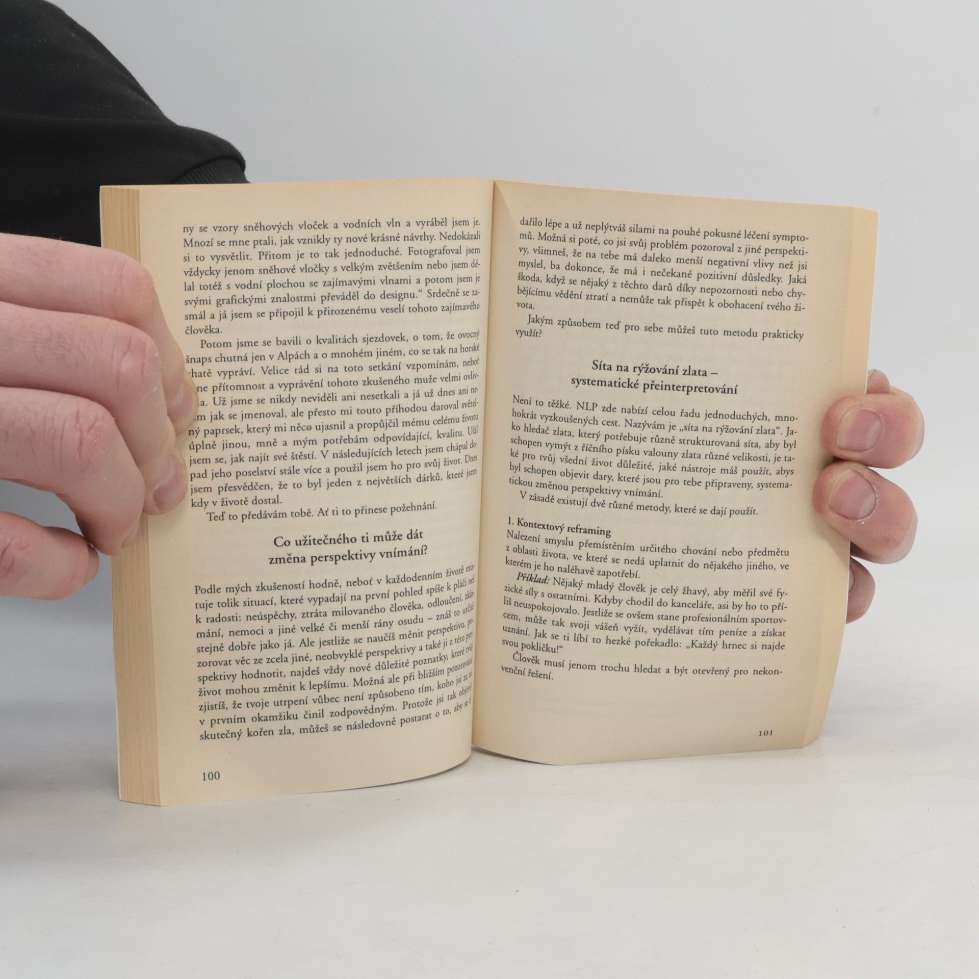 Walter Lübeck Spirituální NLP. Základní kniha. Neurolingvistické programování