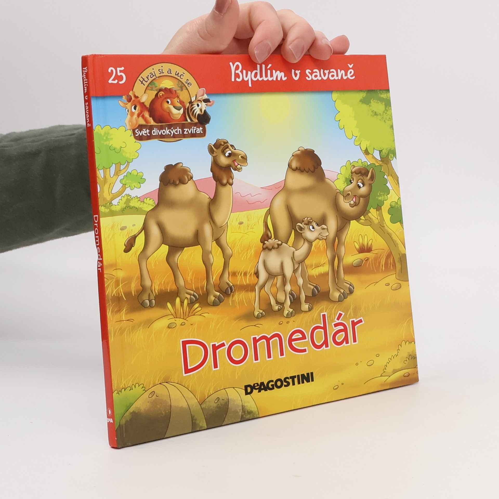 Kolektiv autorů Bydlím v savaně 25. Dromedár