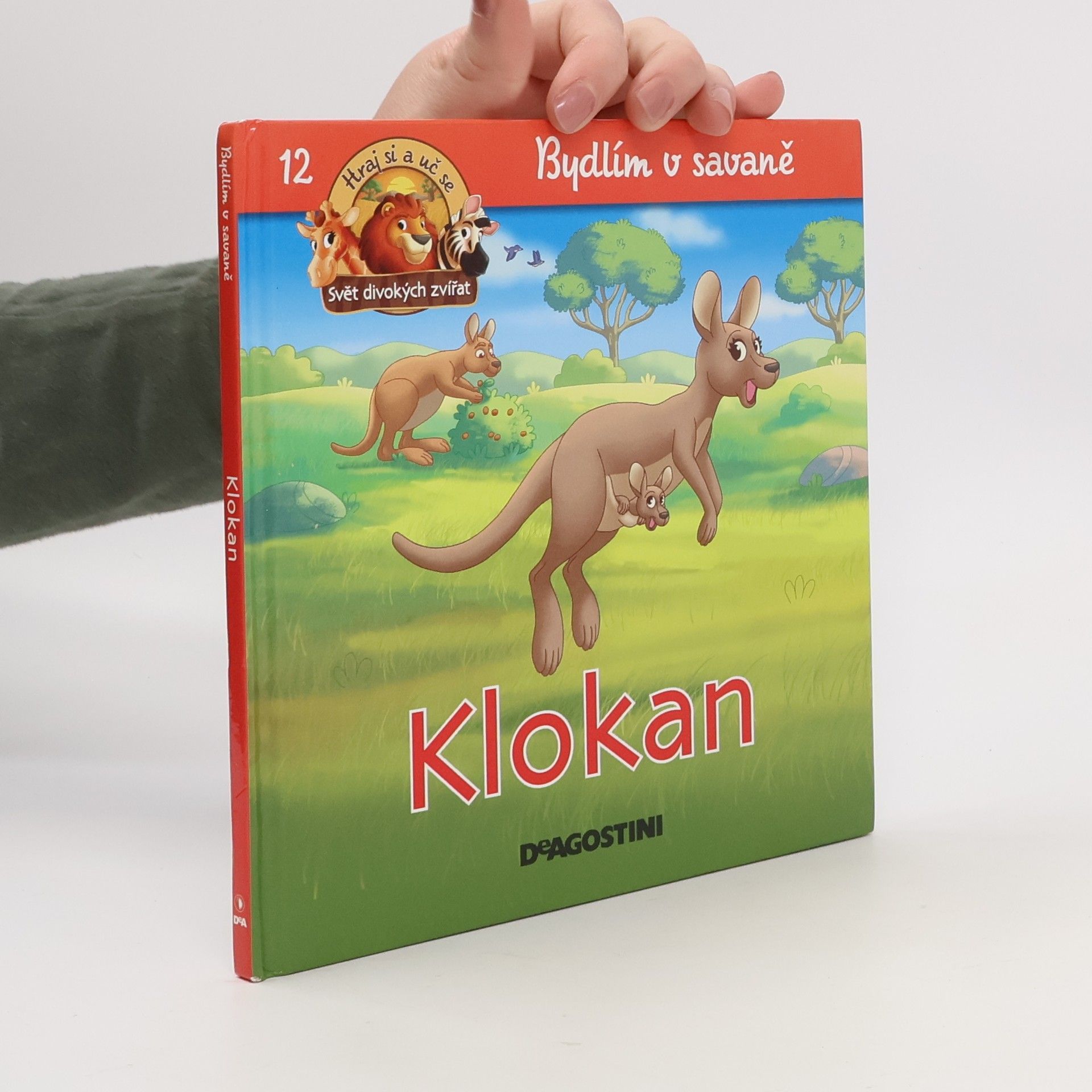 Kolektiv autorů Bydlím v savaně 12. Klokan