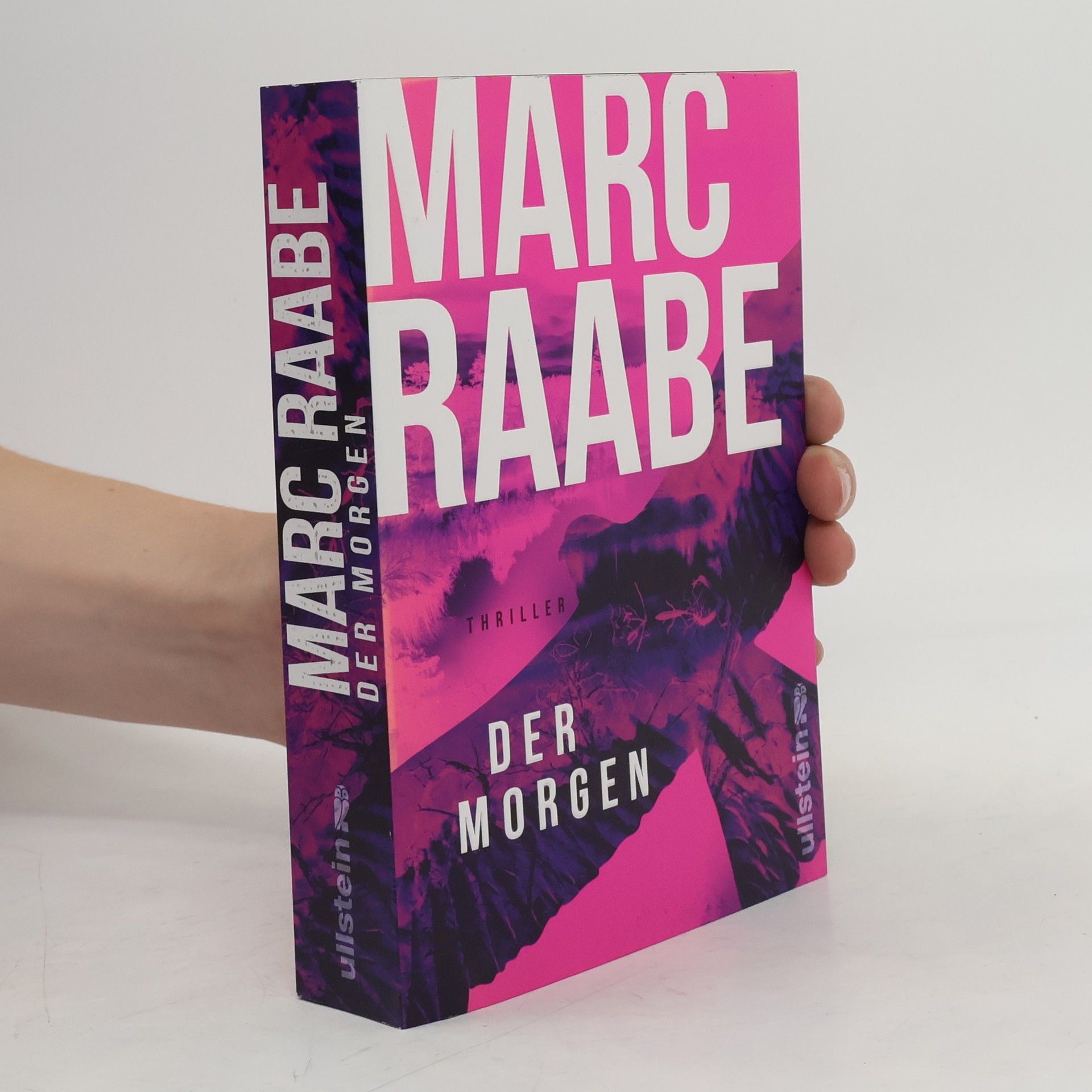 Marc Raabe Der Morgen