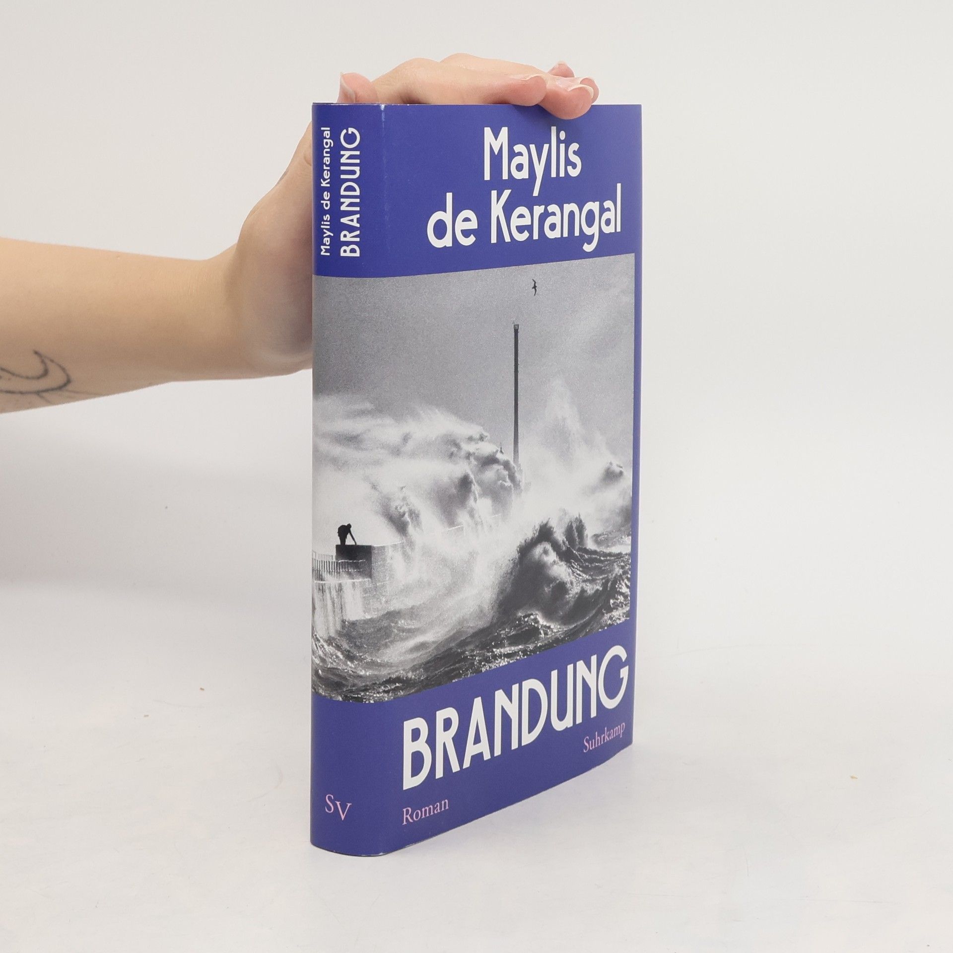 Maylis de Kerangal Brandung