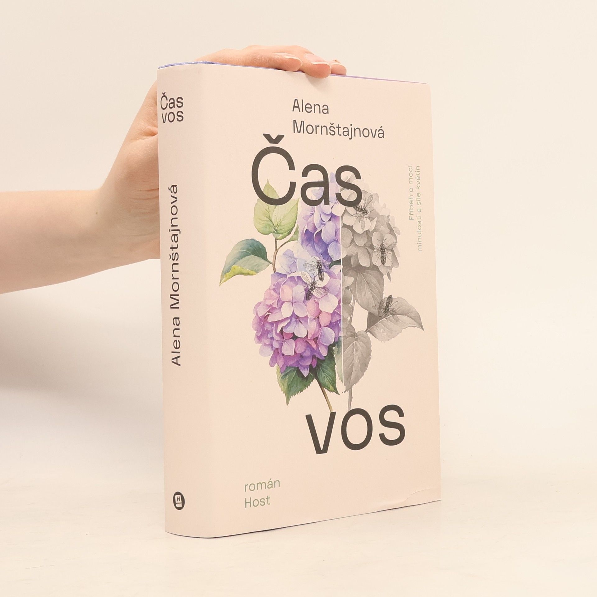Čas vos
