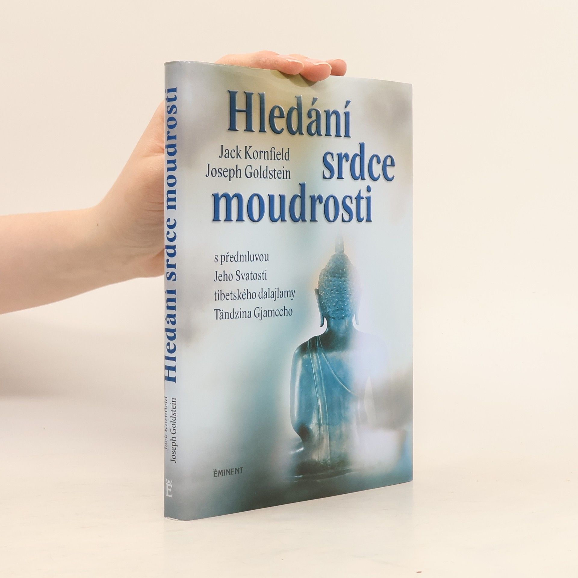 Joseph Goldstein Hledání srdce moudrosti