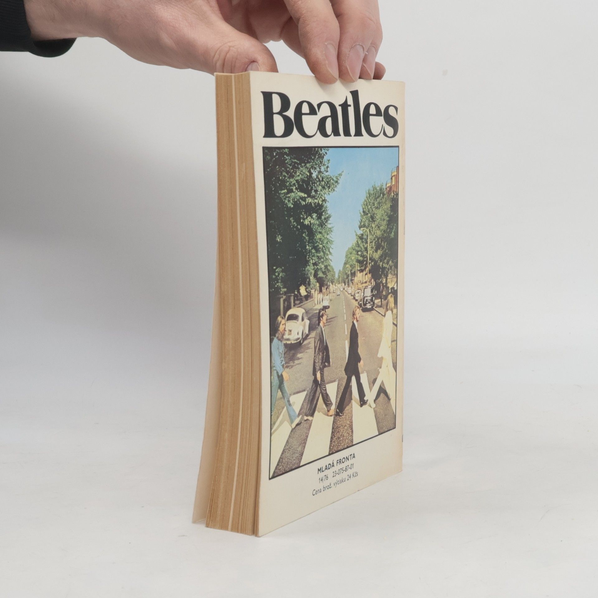 Antonín Matzner Beatles