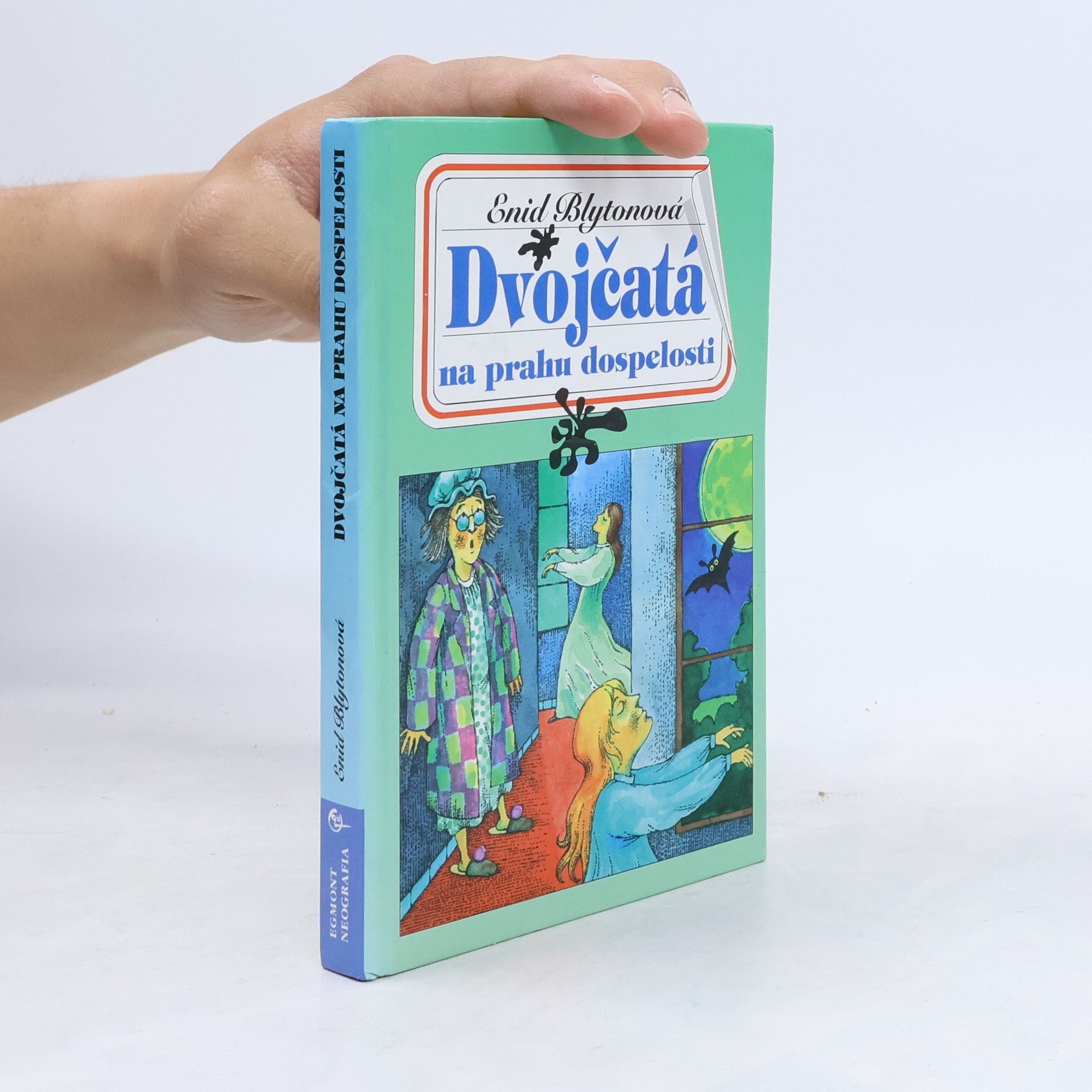 Enid Blyton Dvojčatá na prahu dospelosti
