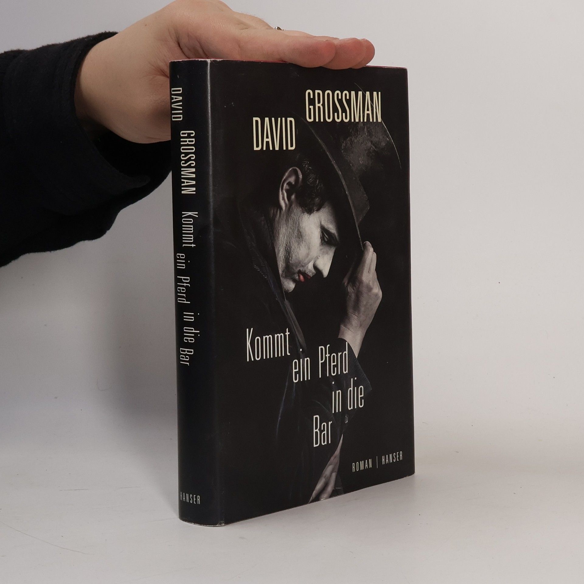 David Grossman Kommt ein Pferd in die Bar