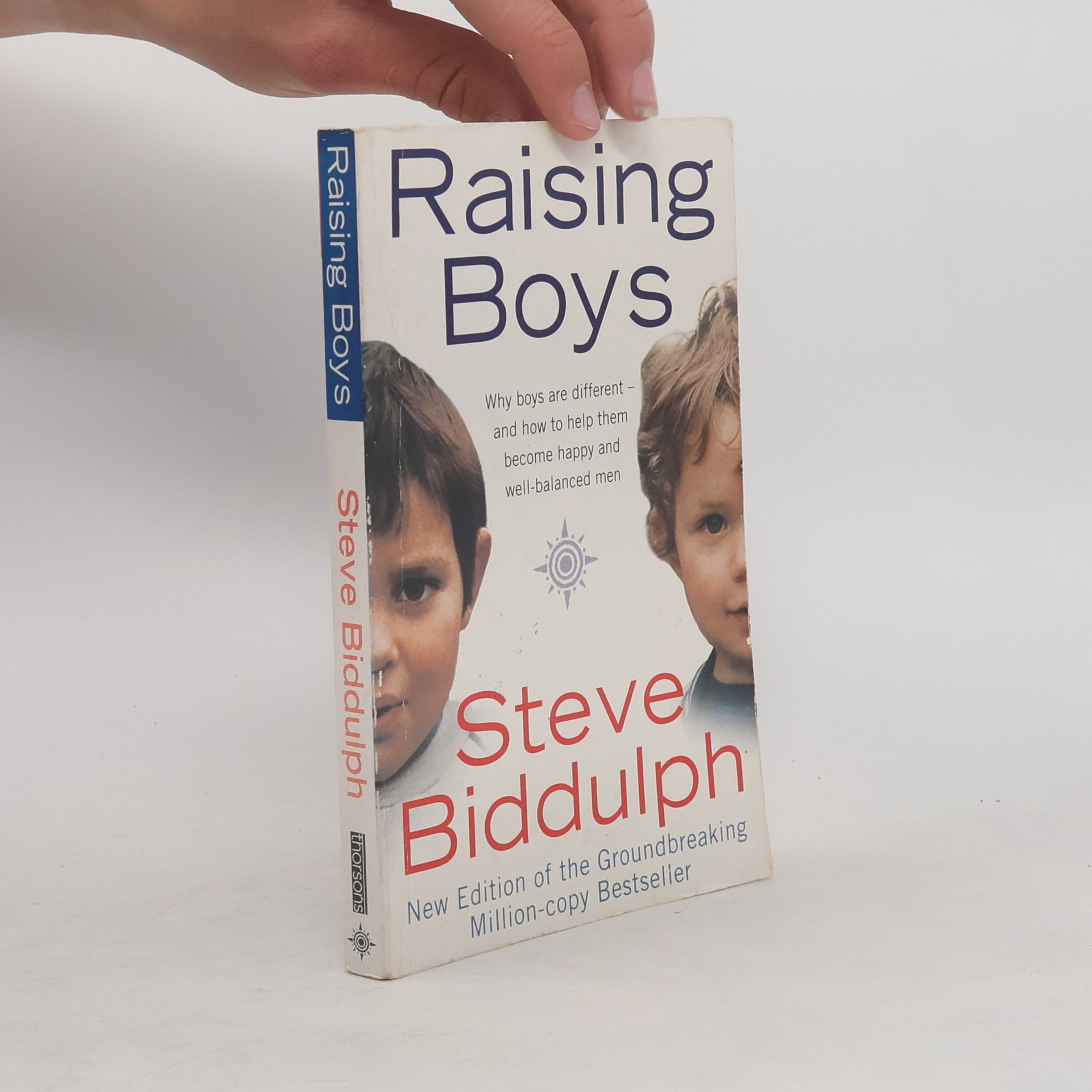 Steve Biddulph Raising boys