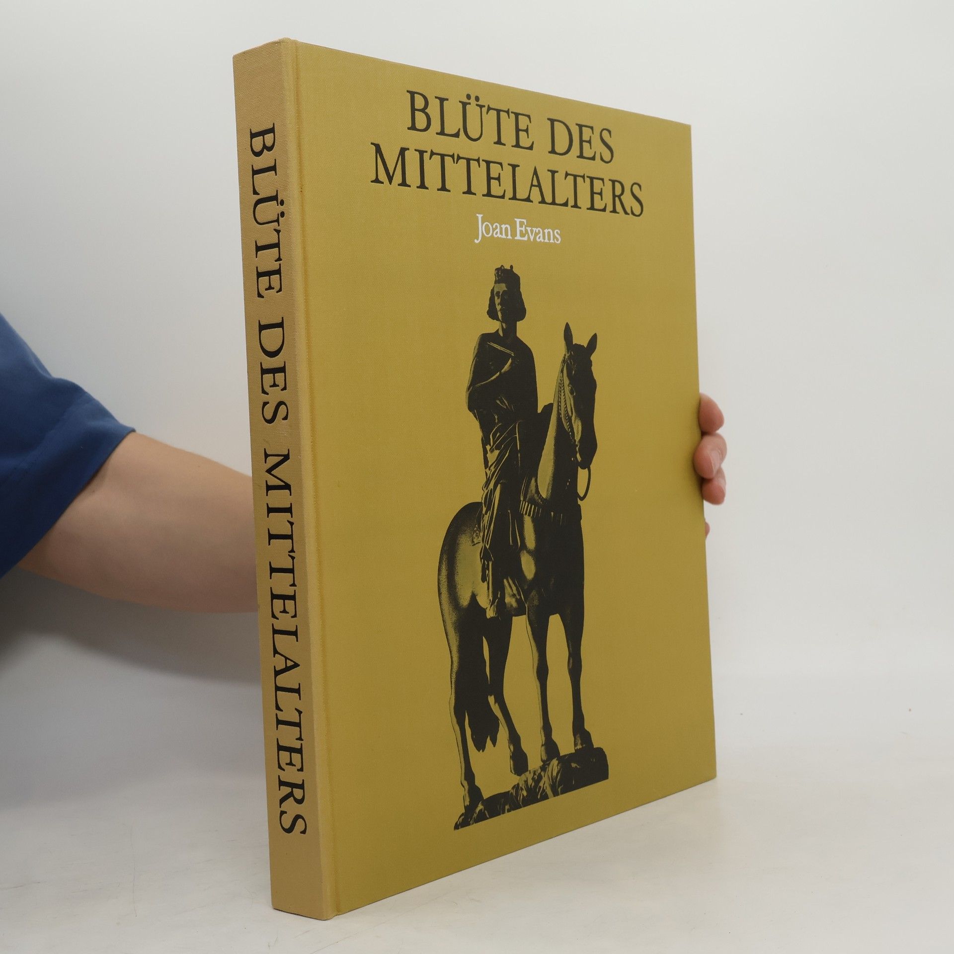 Joan Evans Blüte des Mittelalters