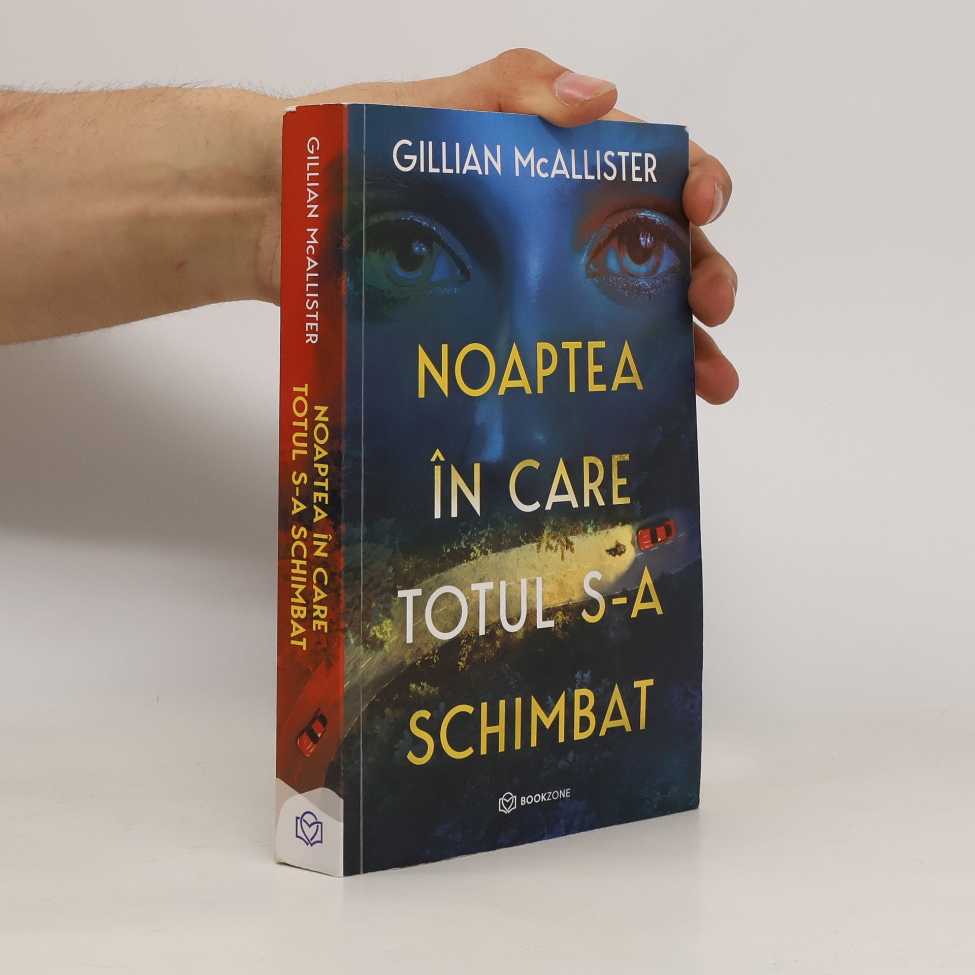 Gillian McAllister Noaptea în care totul s-a schimbat