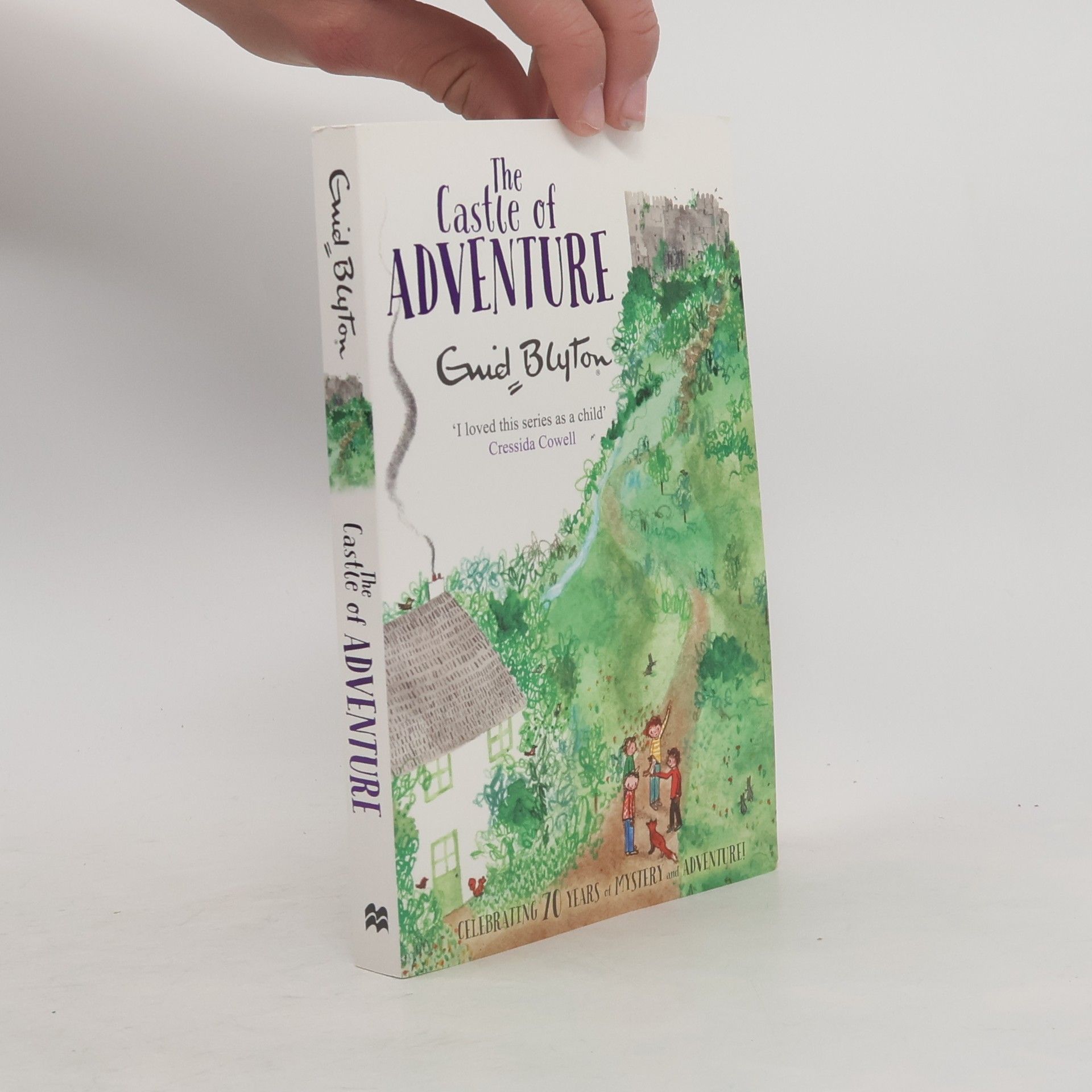 Enid Blyton The Castle of Adventure