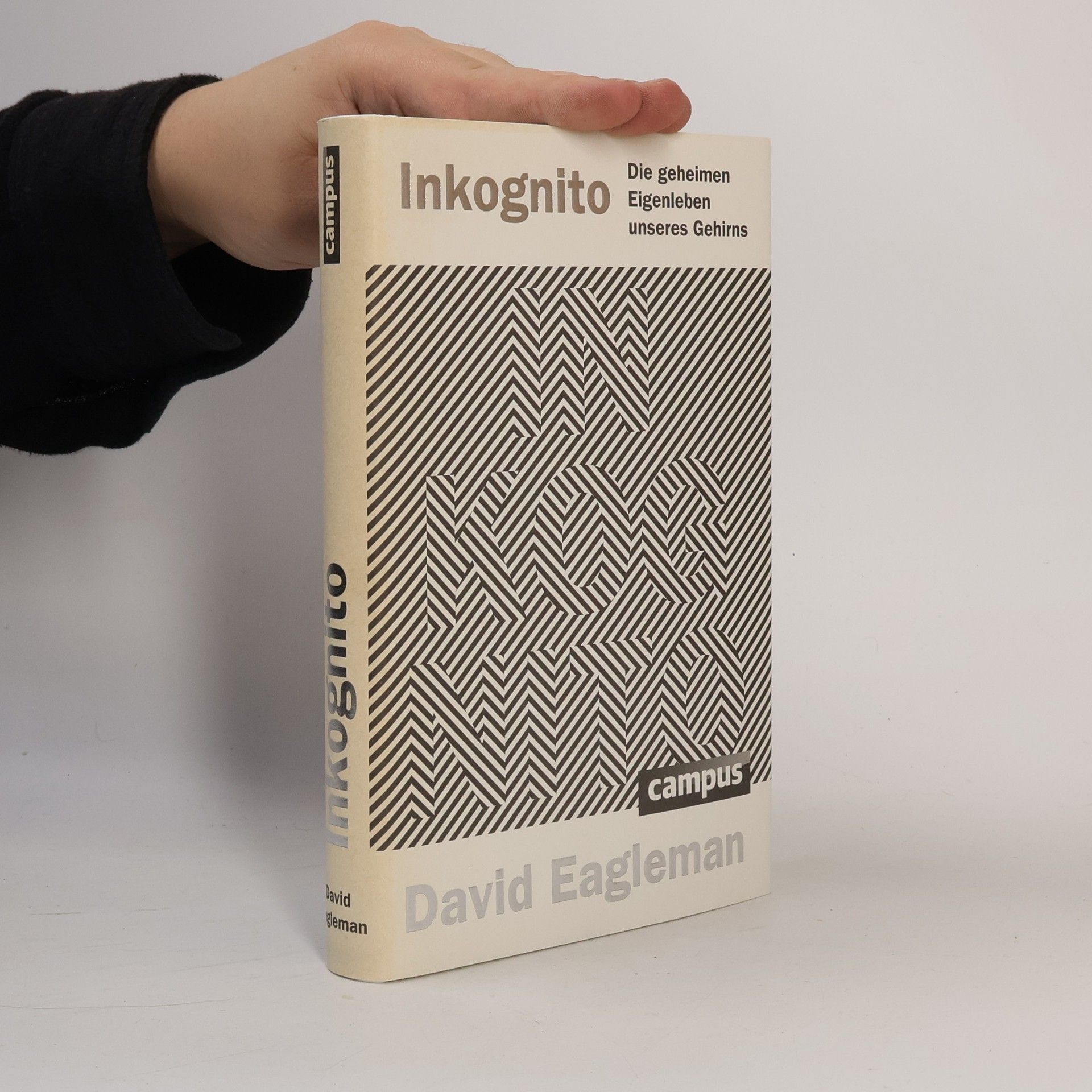 David Eagleman Inkognito
