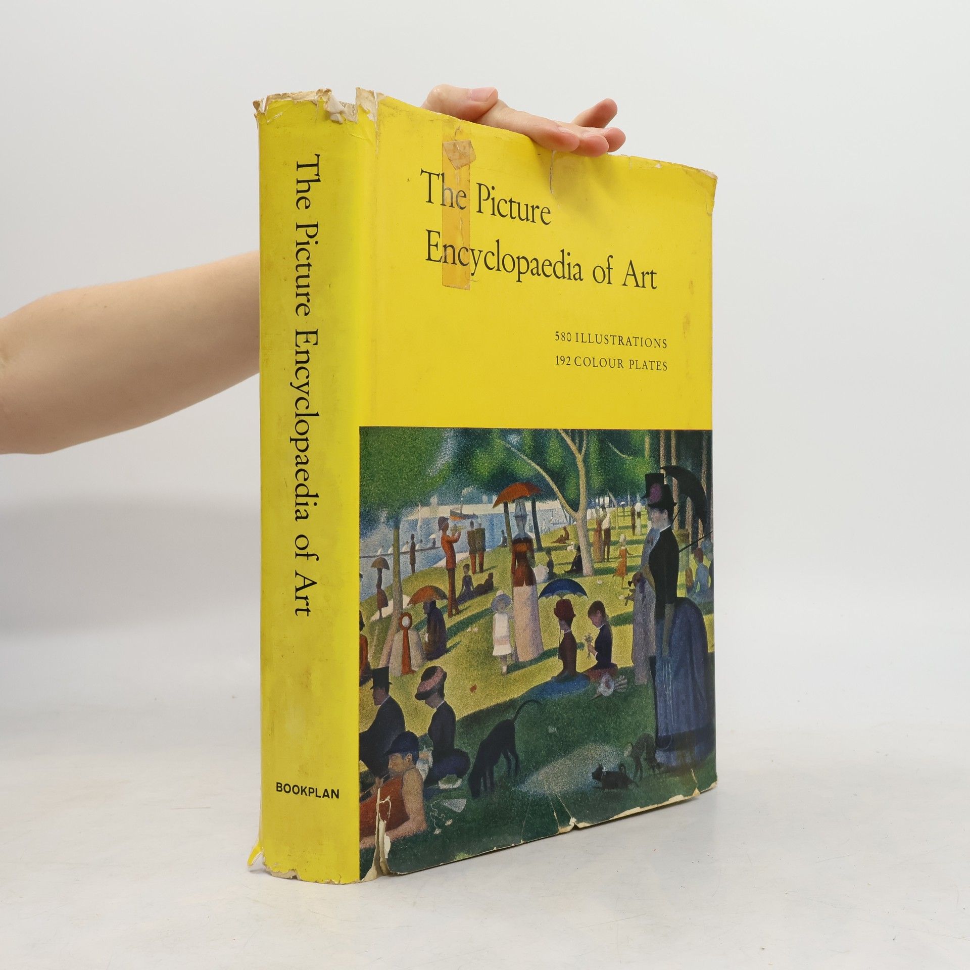Kolektiv autorů The Picture Encyclopaedia of Art