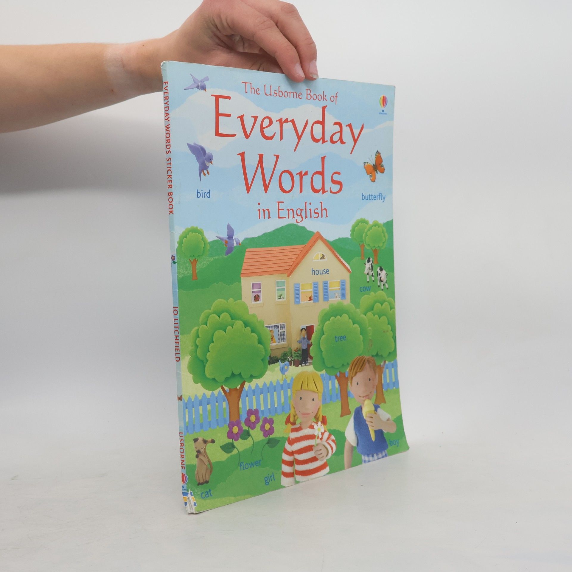 Angela Wilkes The Usborne Book of Everyday Words
