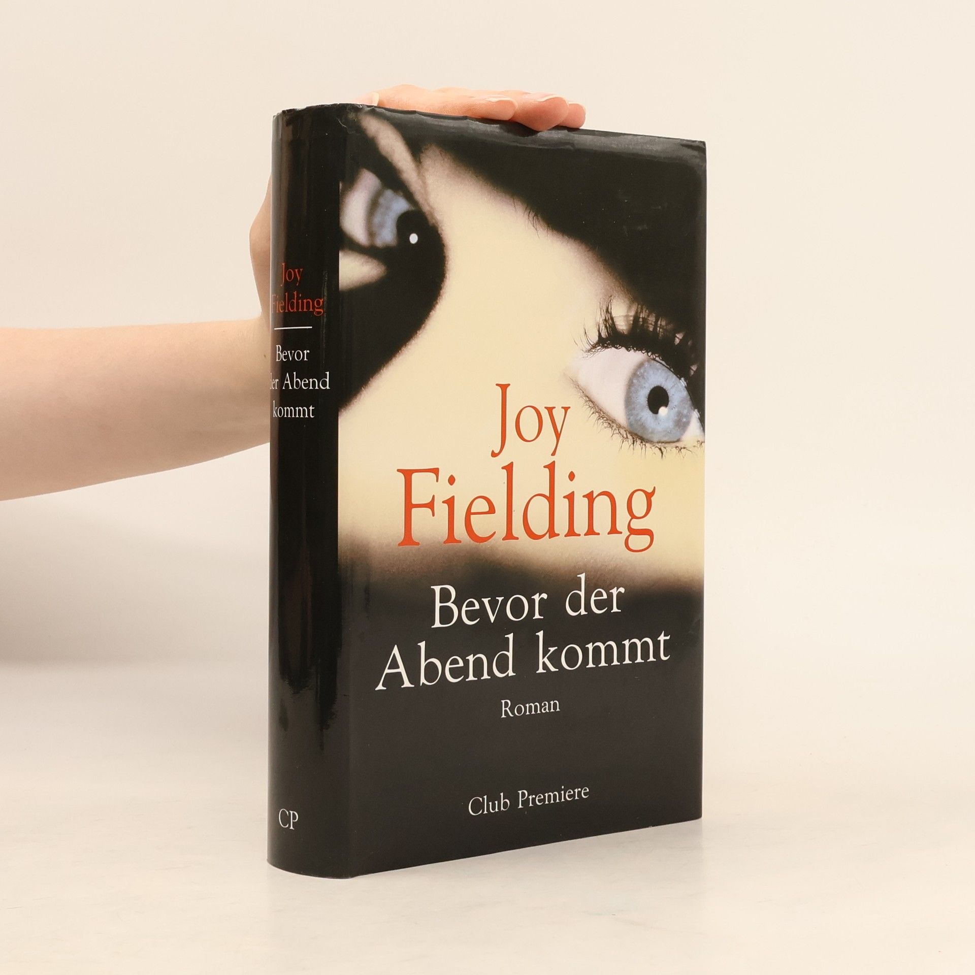Joy Fielding Bevor der Abend kommt