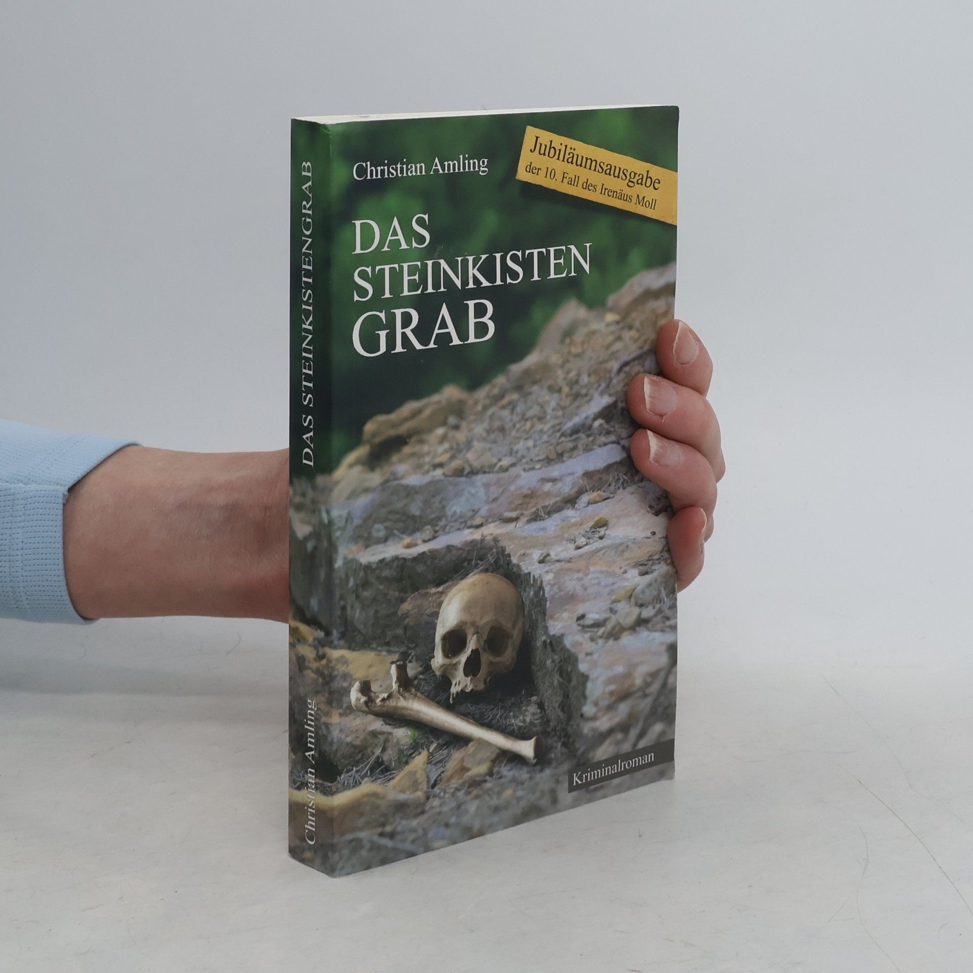 Christian Amling Das Steinkistengrab