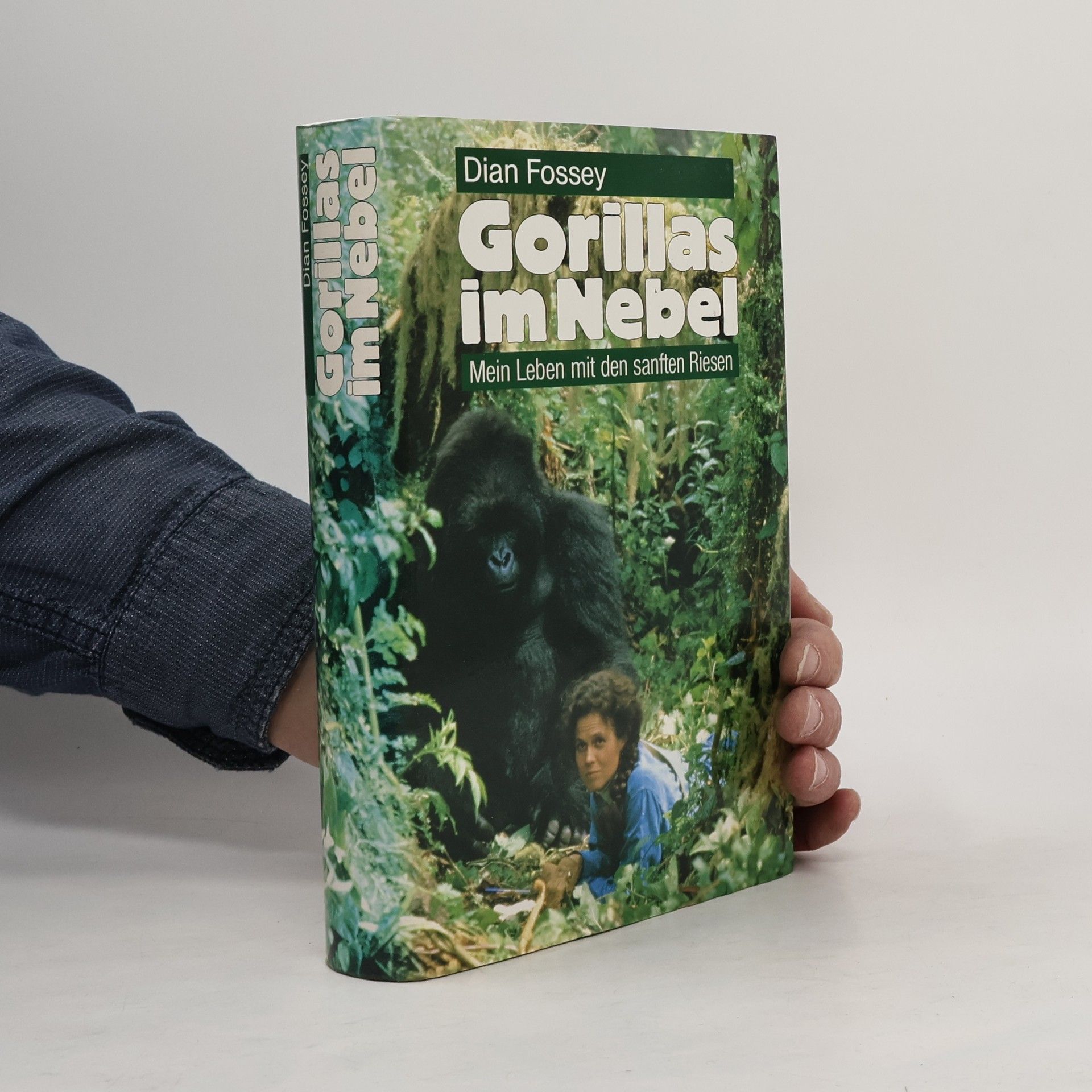 Dian Fossey Gorillas im Nebel