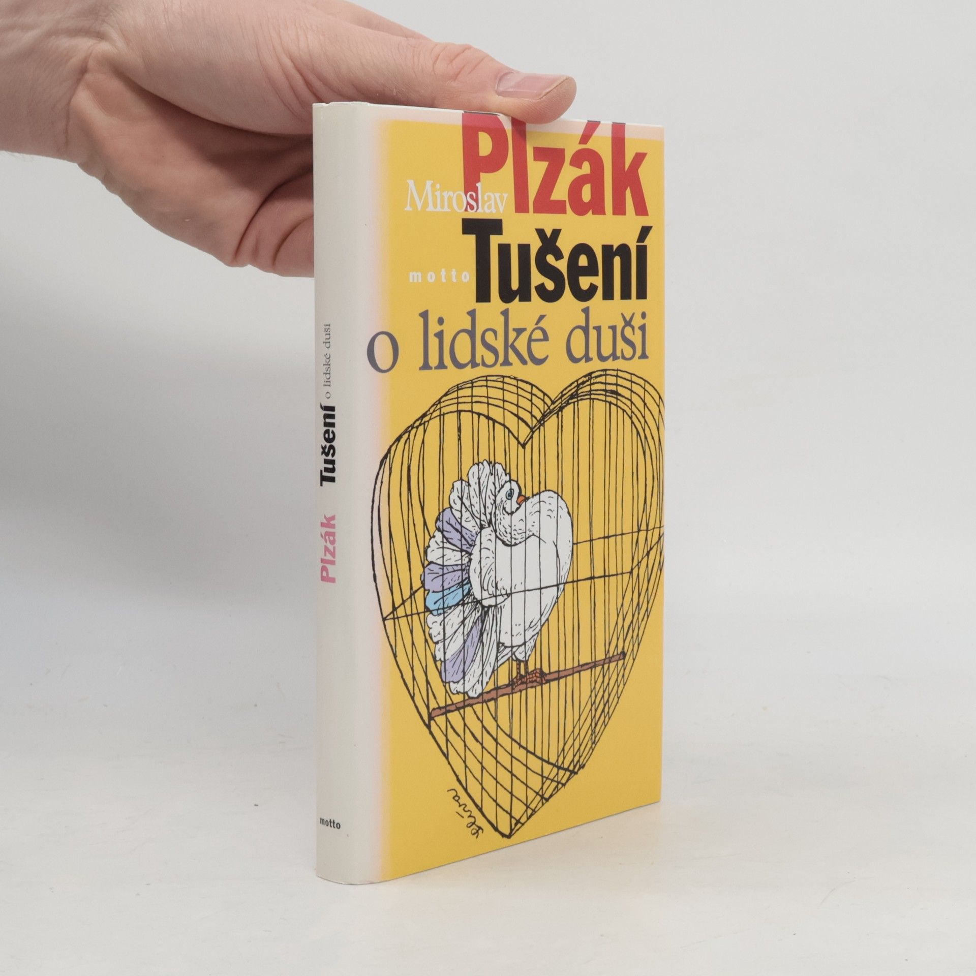 Miroslav Plzák Tušení o lidské duši