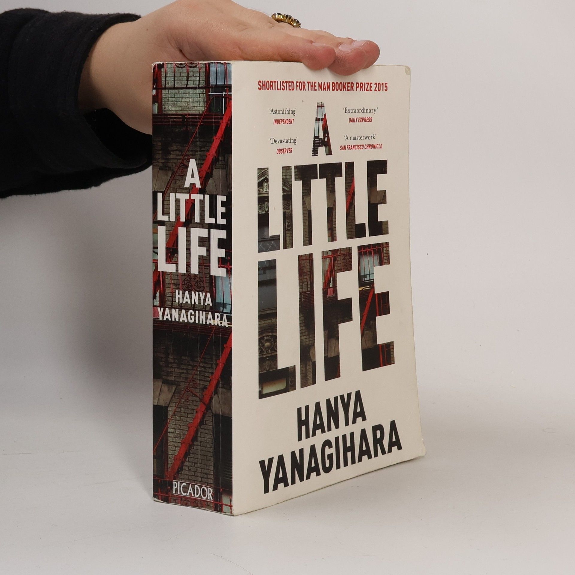 Hanya Yanagihara A Little Life