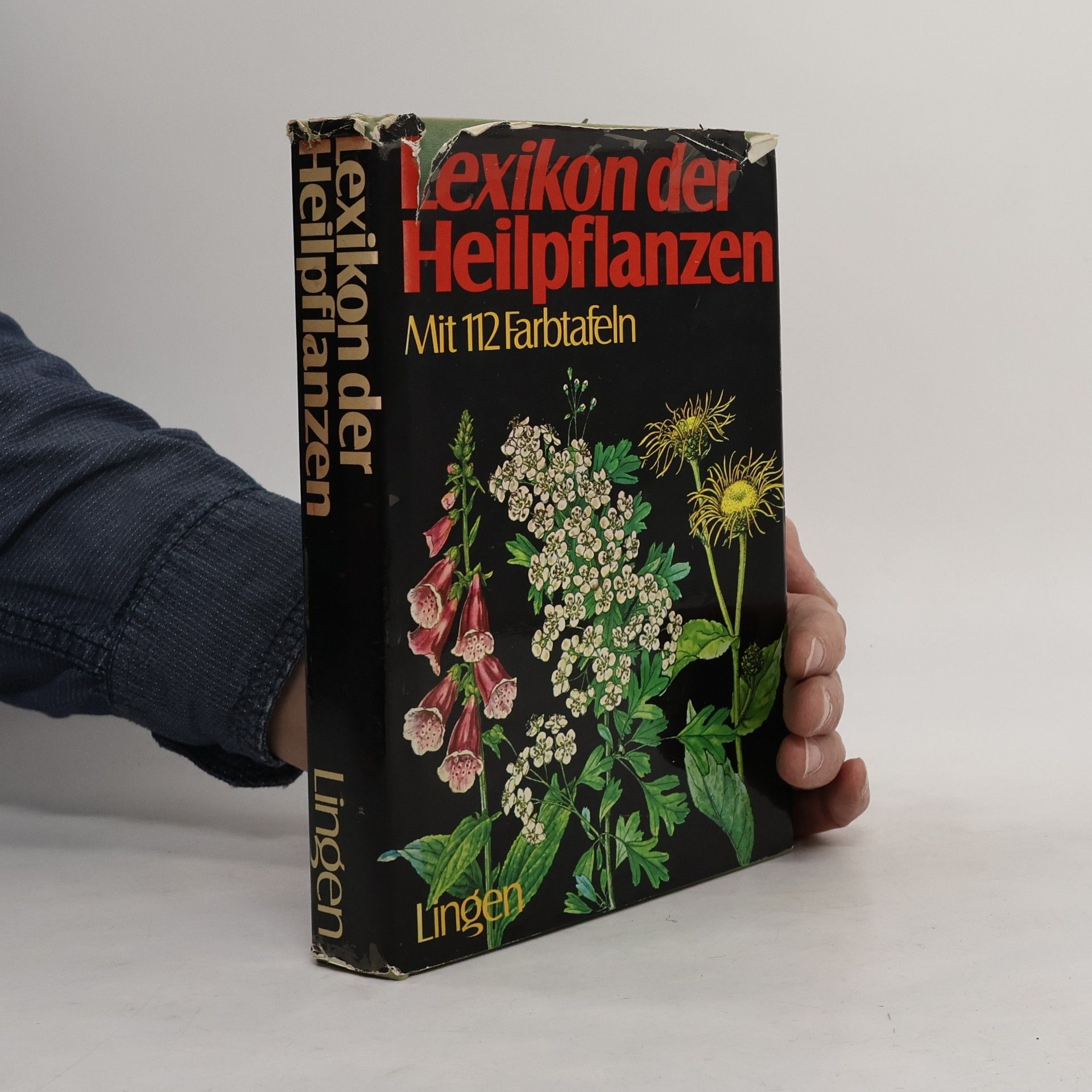 Autorenkollektiv Lexikon der Heilpflanzen
