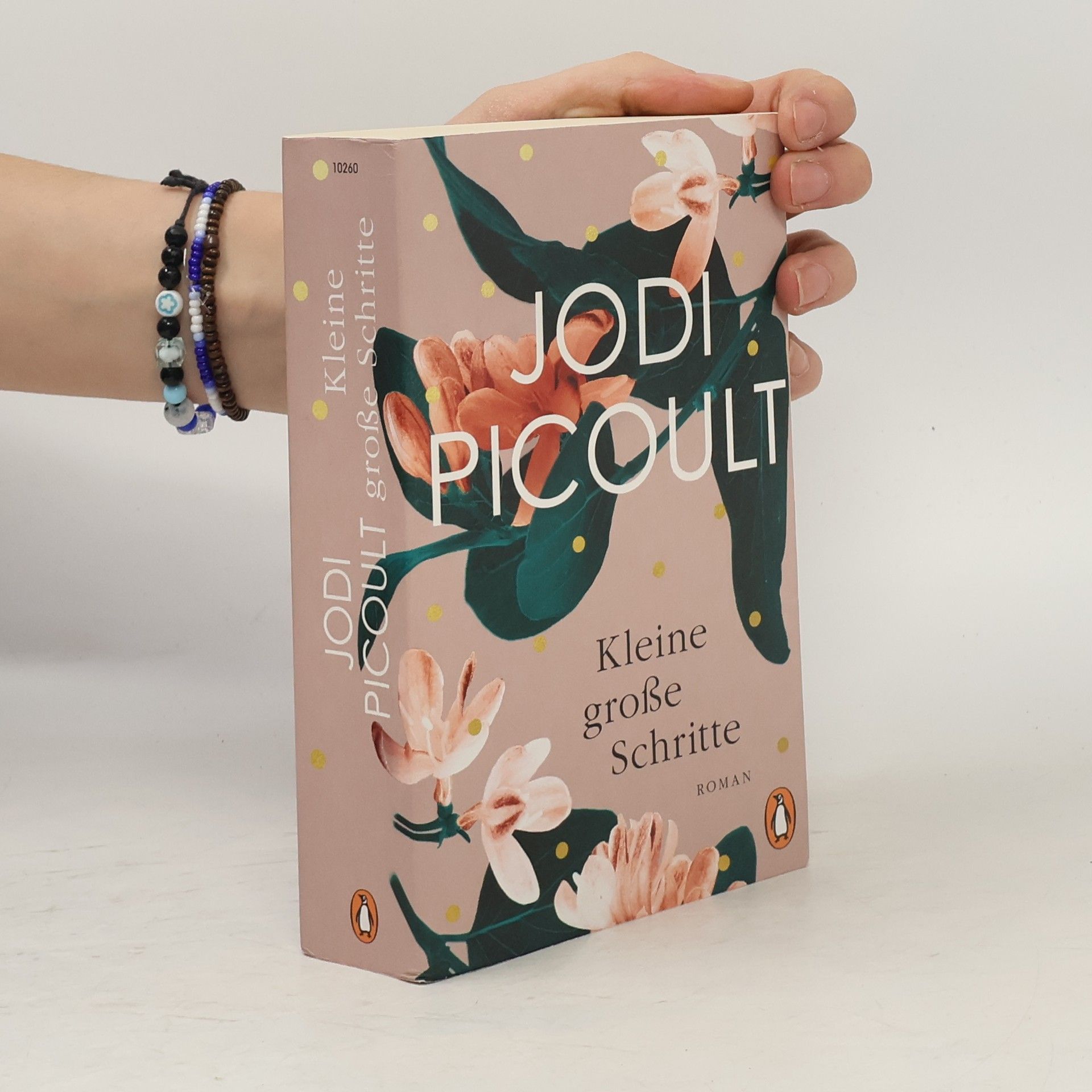 Jodi Picoult Kleine große Schritte
