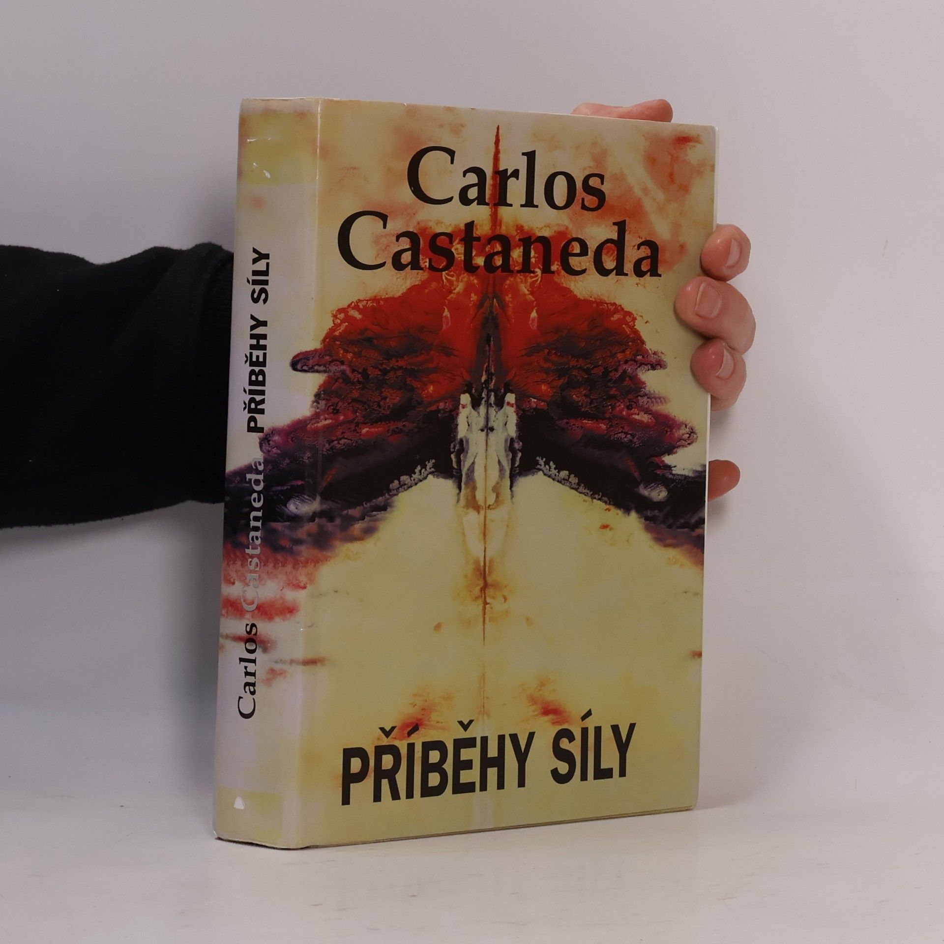 Carlos Castañeda Příběh síly