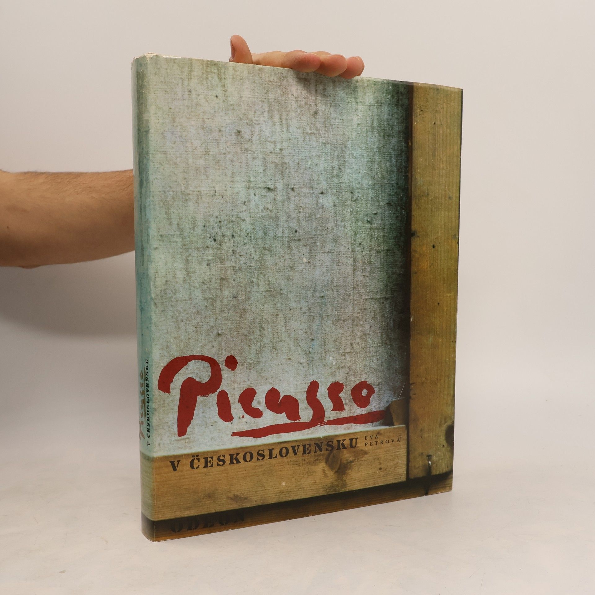 Eva Petrová Picasso v Československu