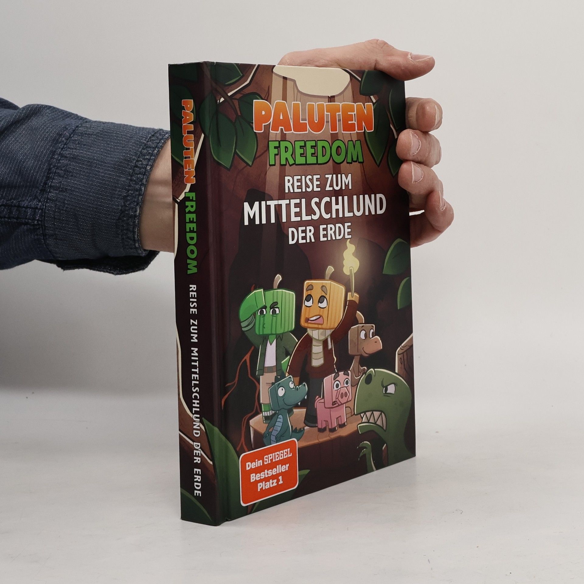 Klaas Kern Reise zum Mittelschlund der Erde