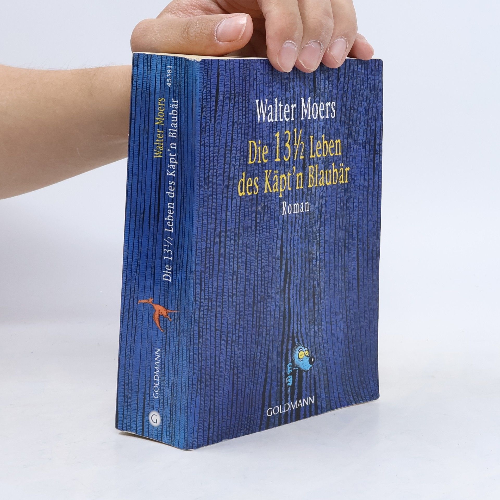 Walter Moers Die 13 1/2 Leben des Käpt'n Blaubär
