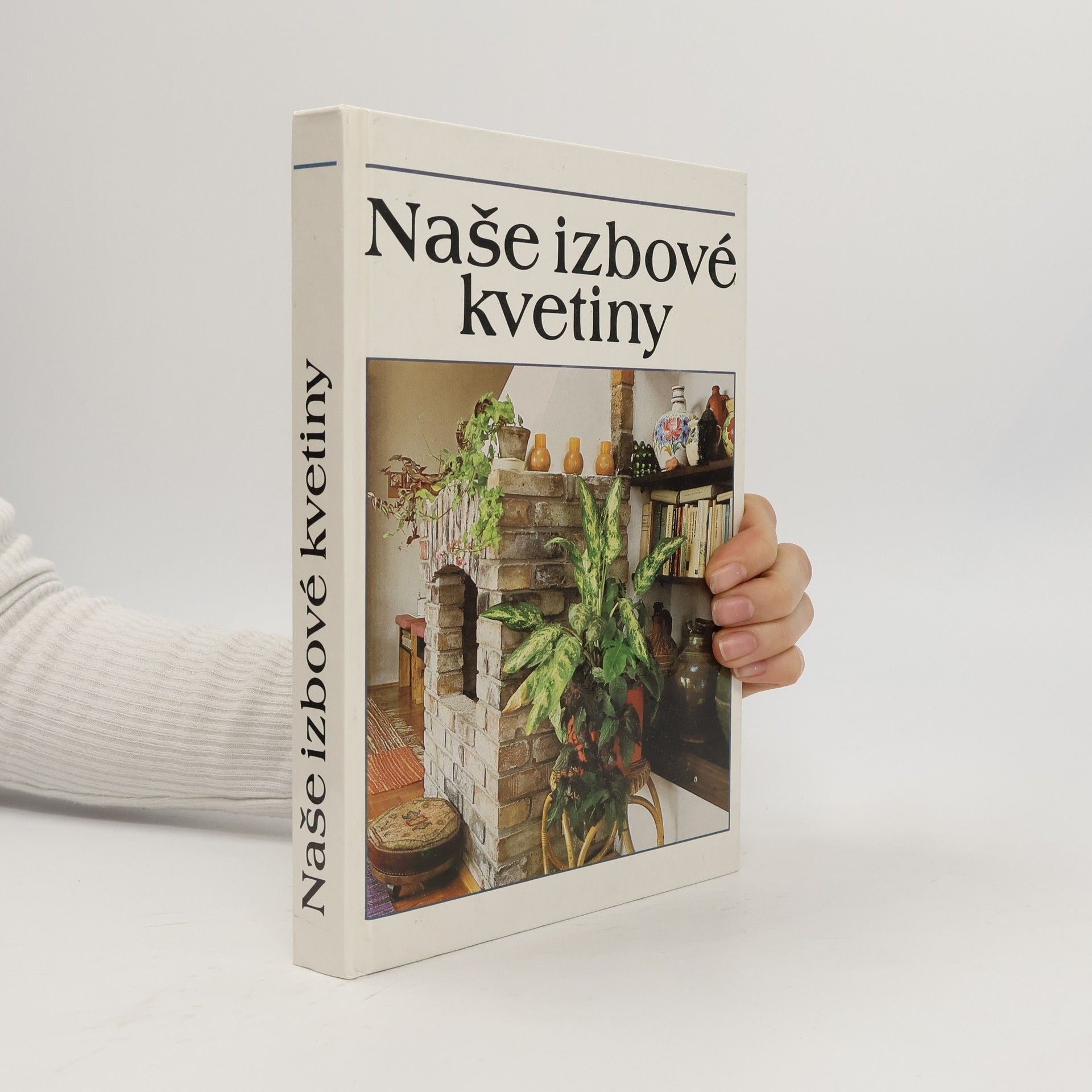 Lajos Lelkes Naše izbové kvetiny