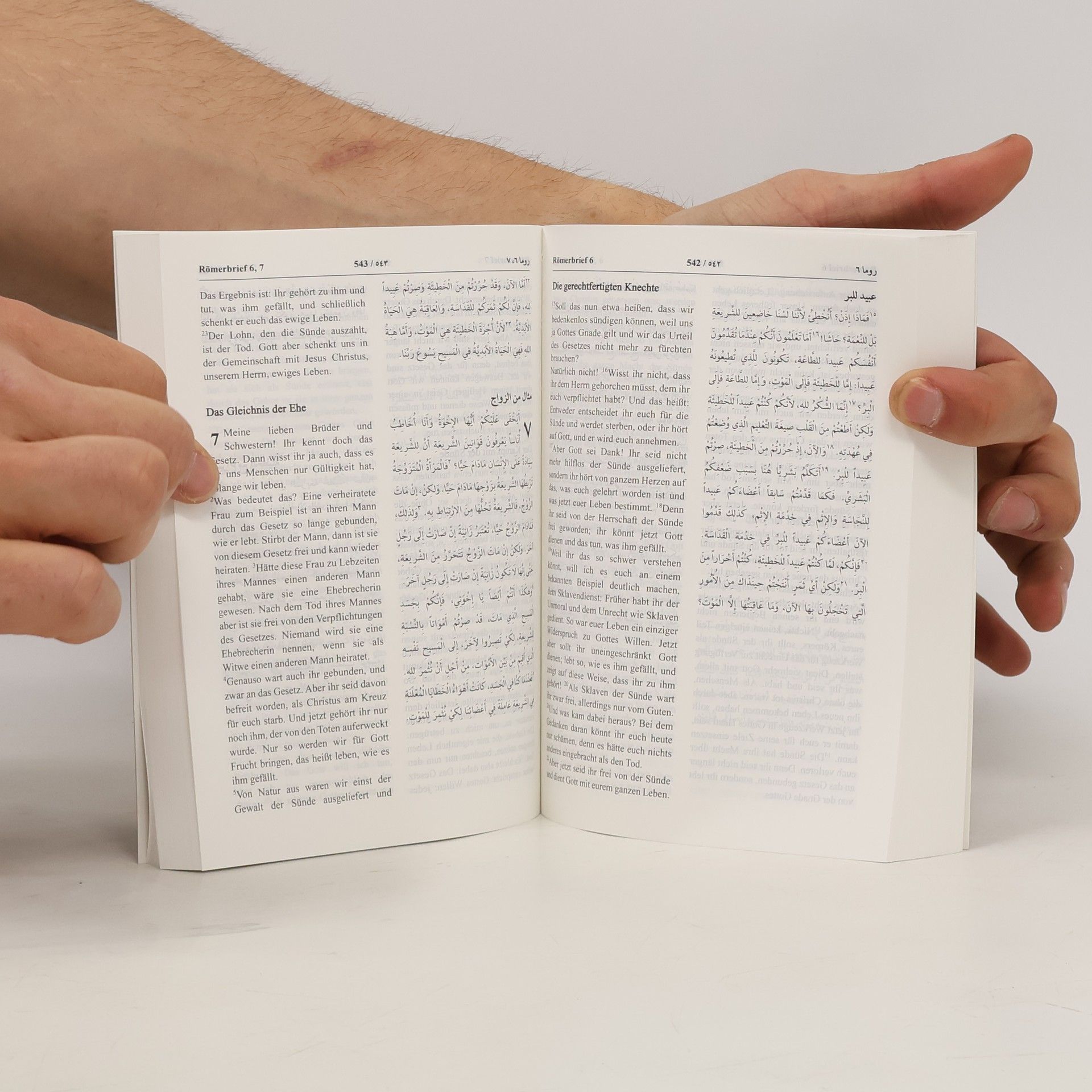 Autorenkollektiv Das Neue Testament