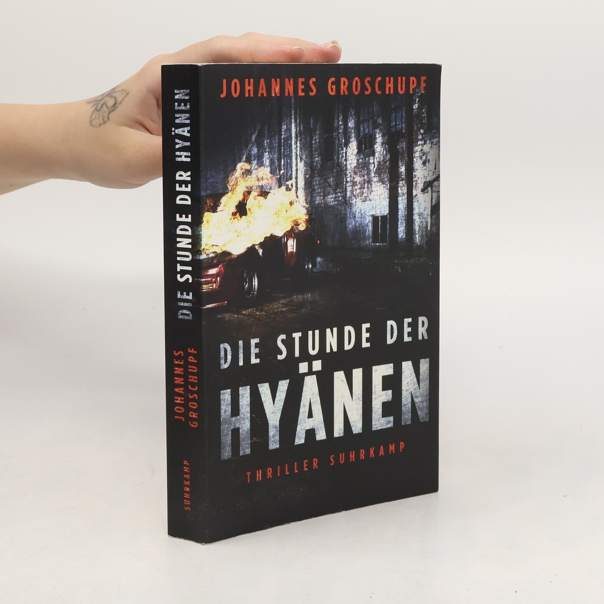 Johannes Groschupf Die Stunde der Hyänen