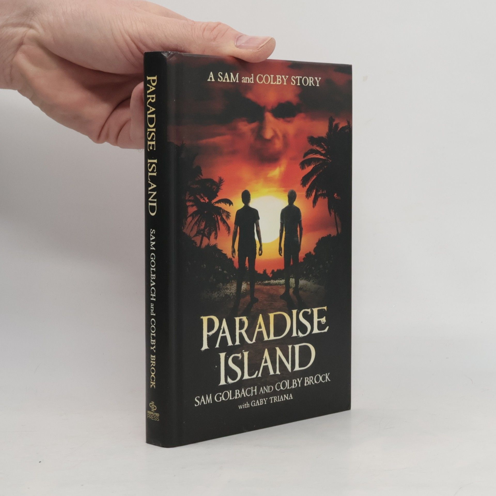 Colby Brock Paradise Island