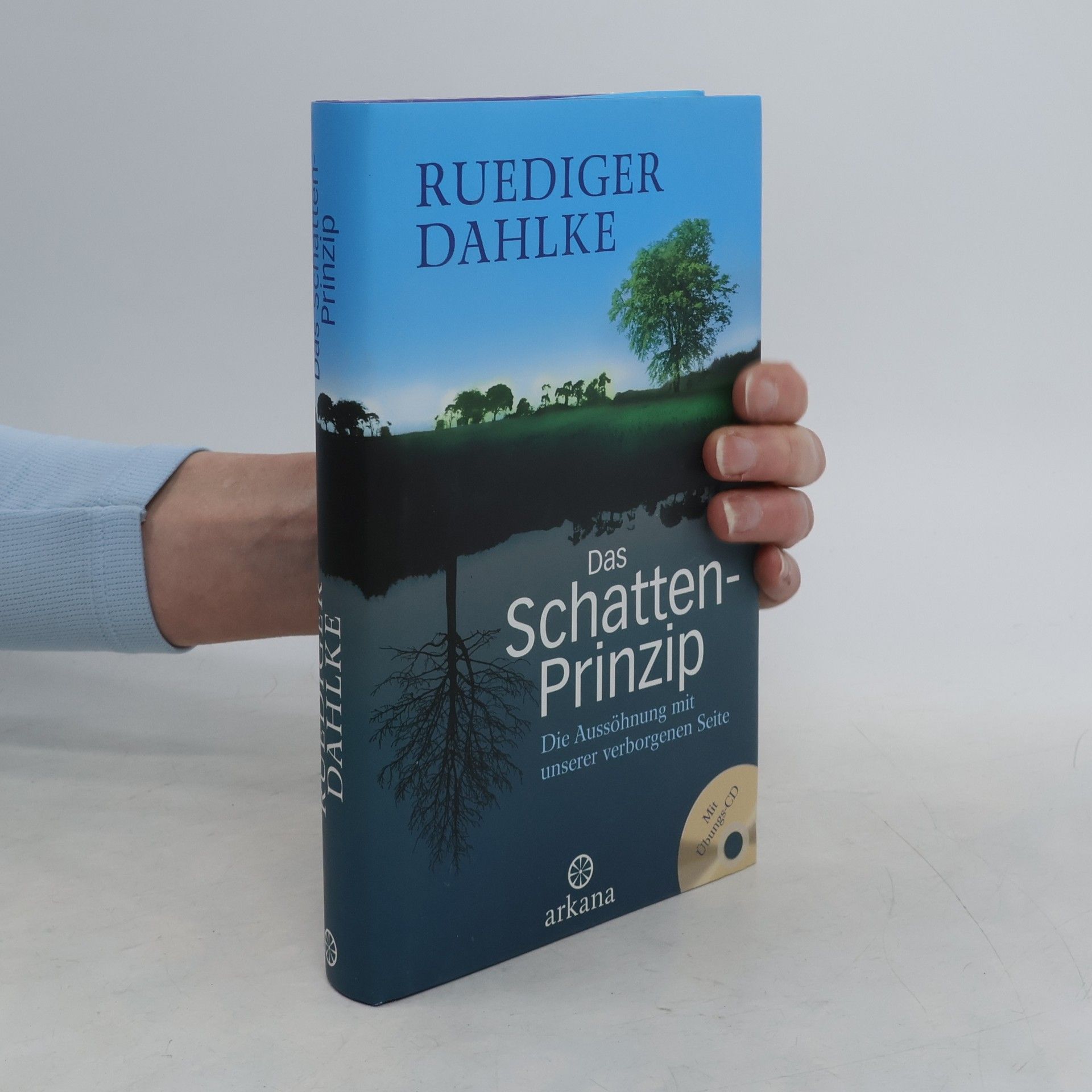 Das Schatten-Prinzip