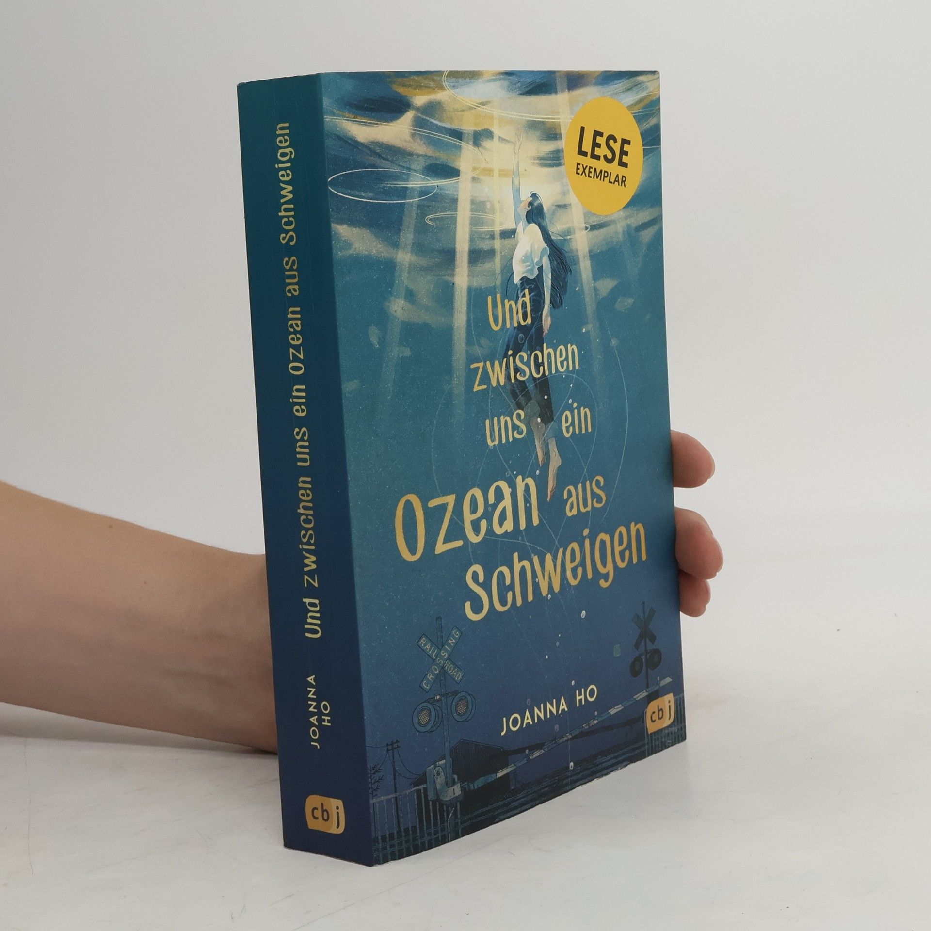 Joanna Ho Und zwischen uns ein Ozean aus Schweigen