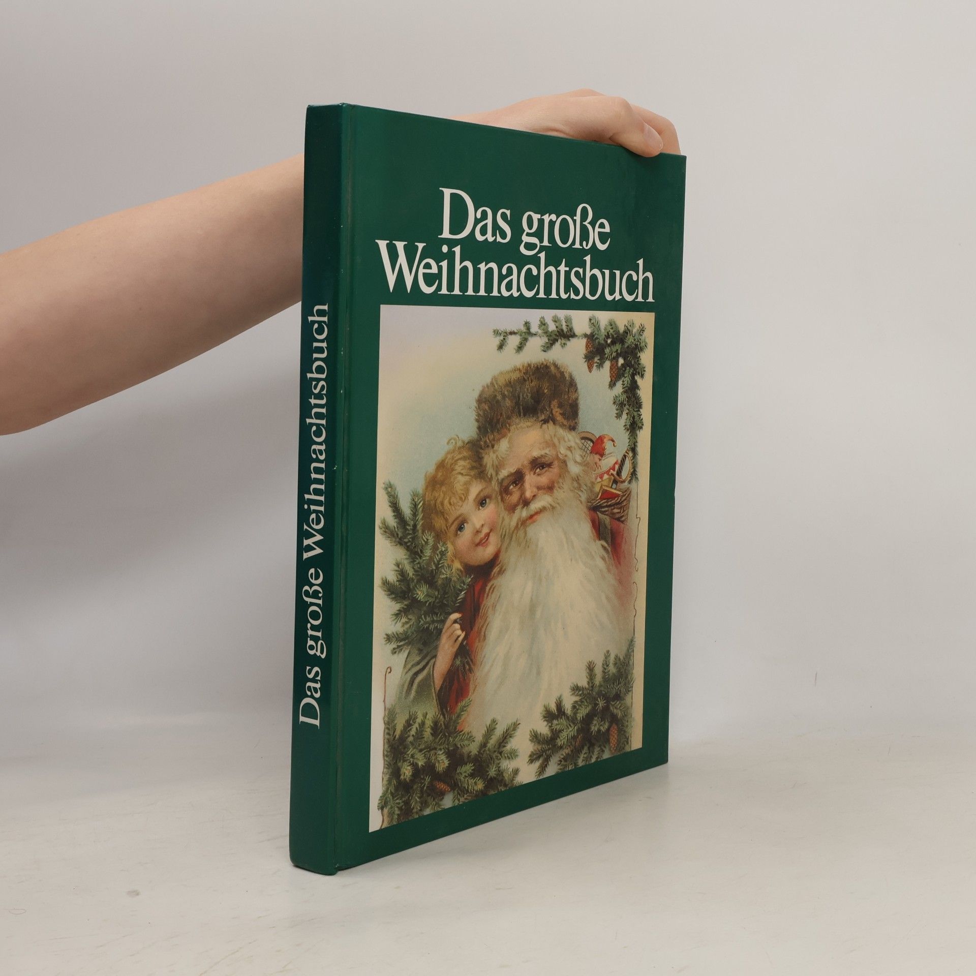 Kolektív autorov Das große Weihnachtsbuch