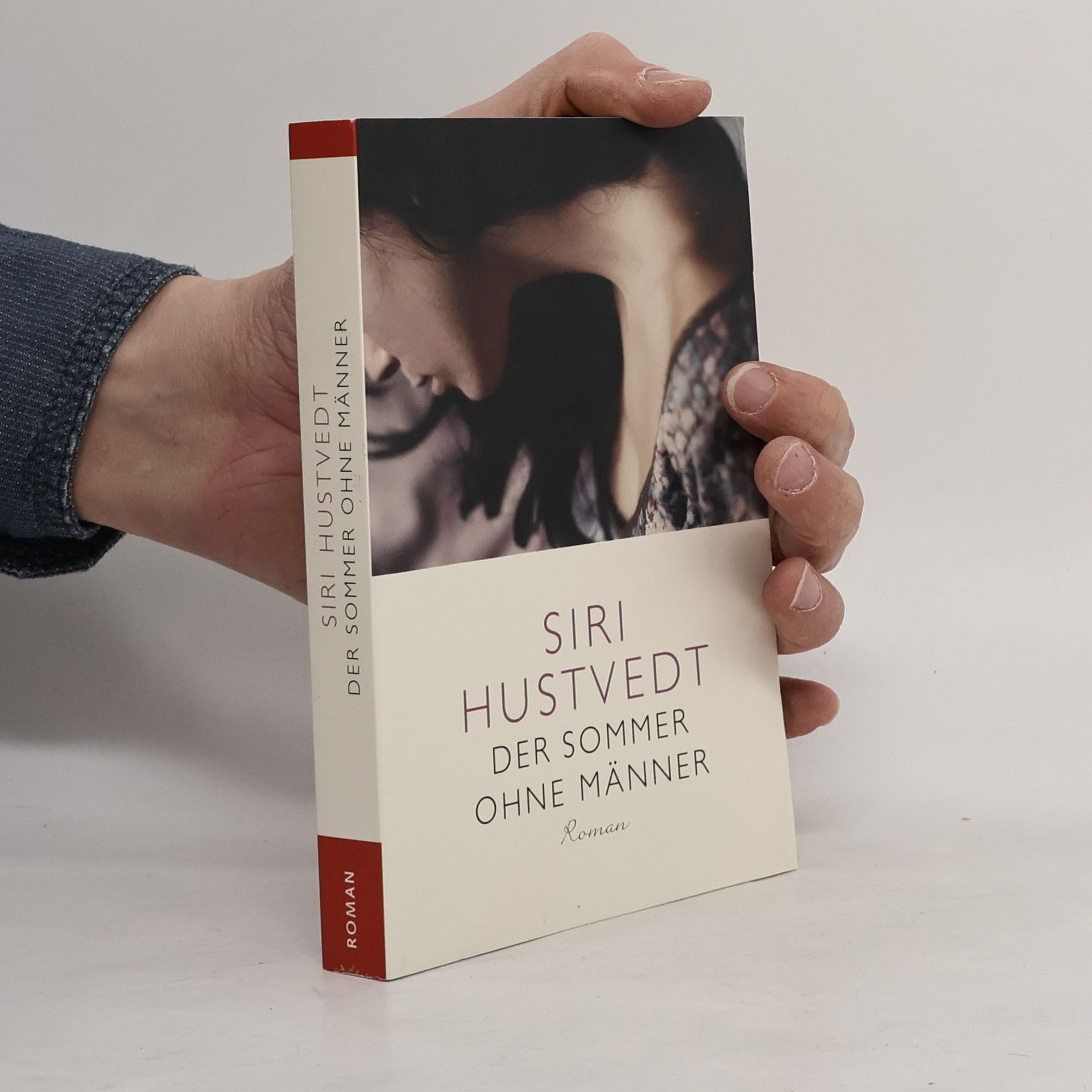 Siri Hustvedt Der Sommer ohne Männer