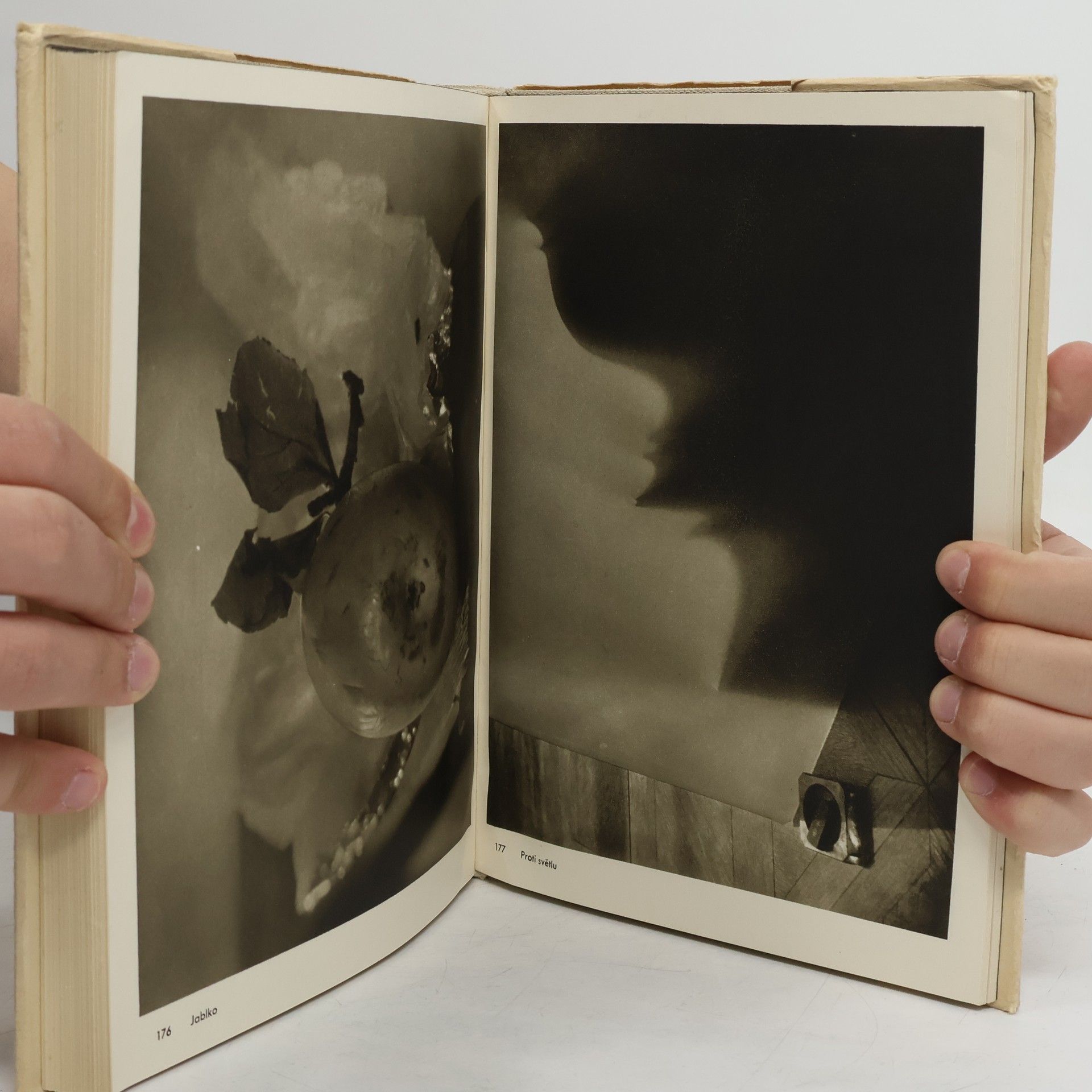 Josef Sudek Josef Sudek. Fotografie