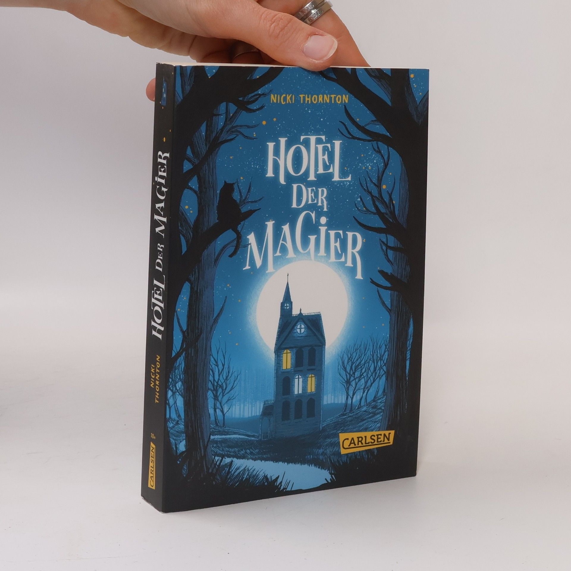 Nicki Thornton Hotel der Magier (Hotel der Magier 1)