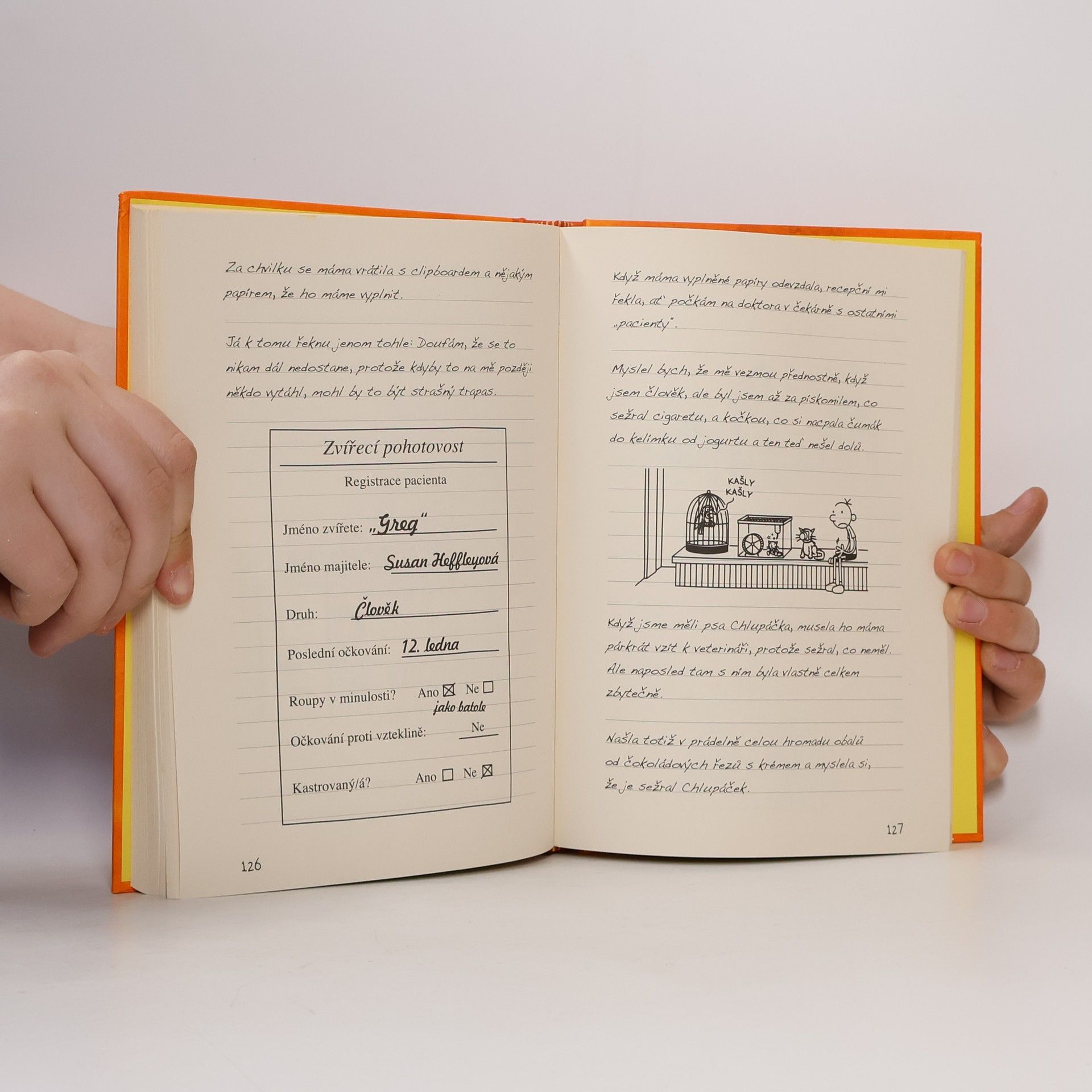 Jeff Kinney Deník malého poseroutky 9. Výlet za všechny peníze