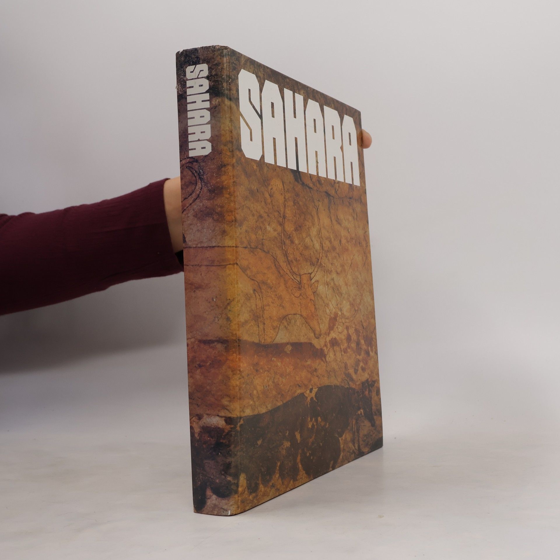René Gardi Sahara : Monographie einer grossen Wüste