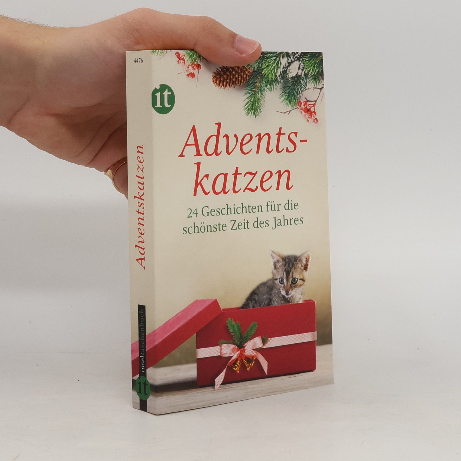 Gesine Dammel Adventskatzen