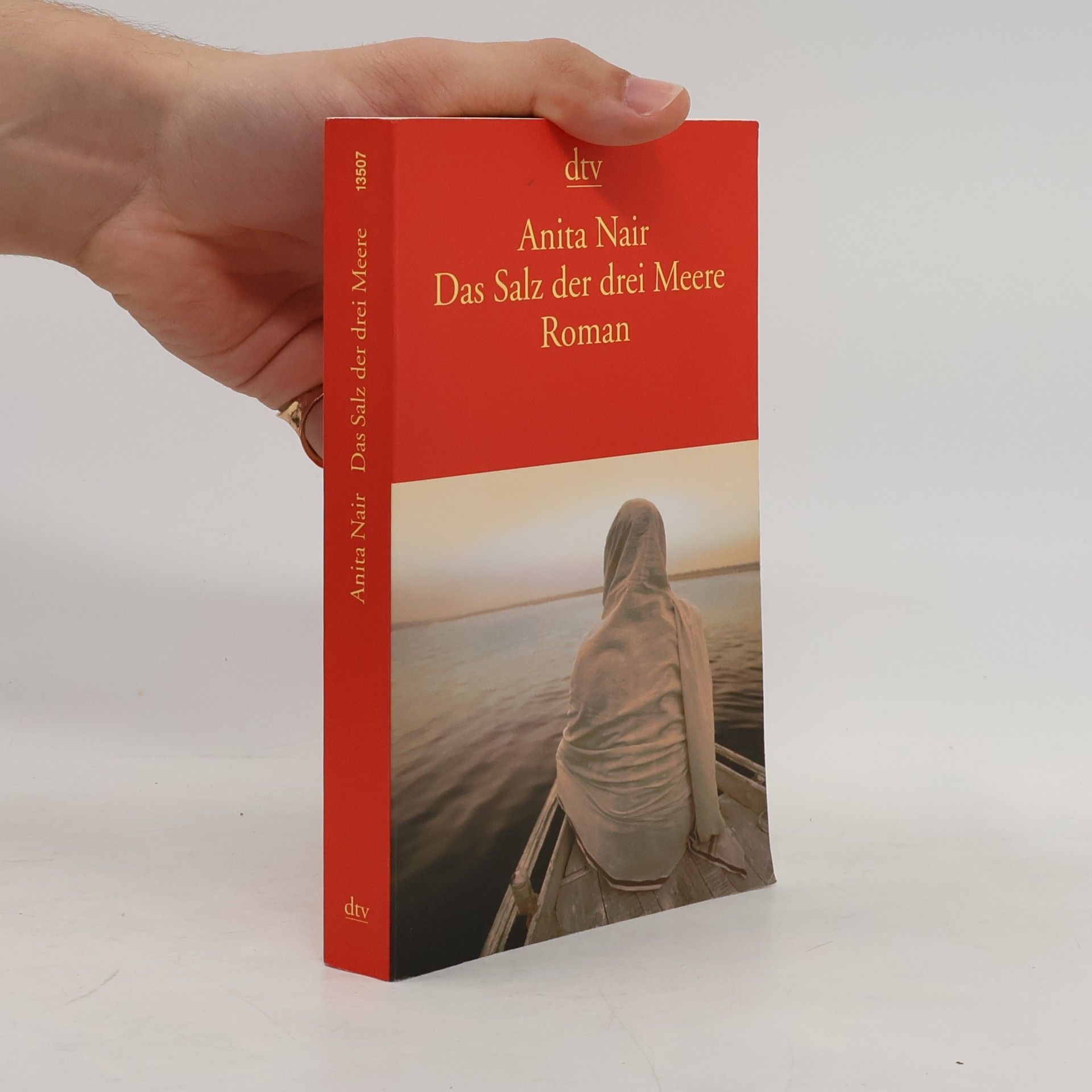 Anita Nair Das Salz der drei Meere