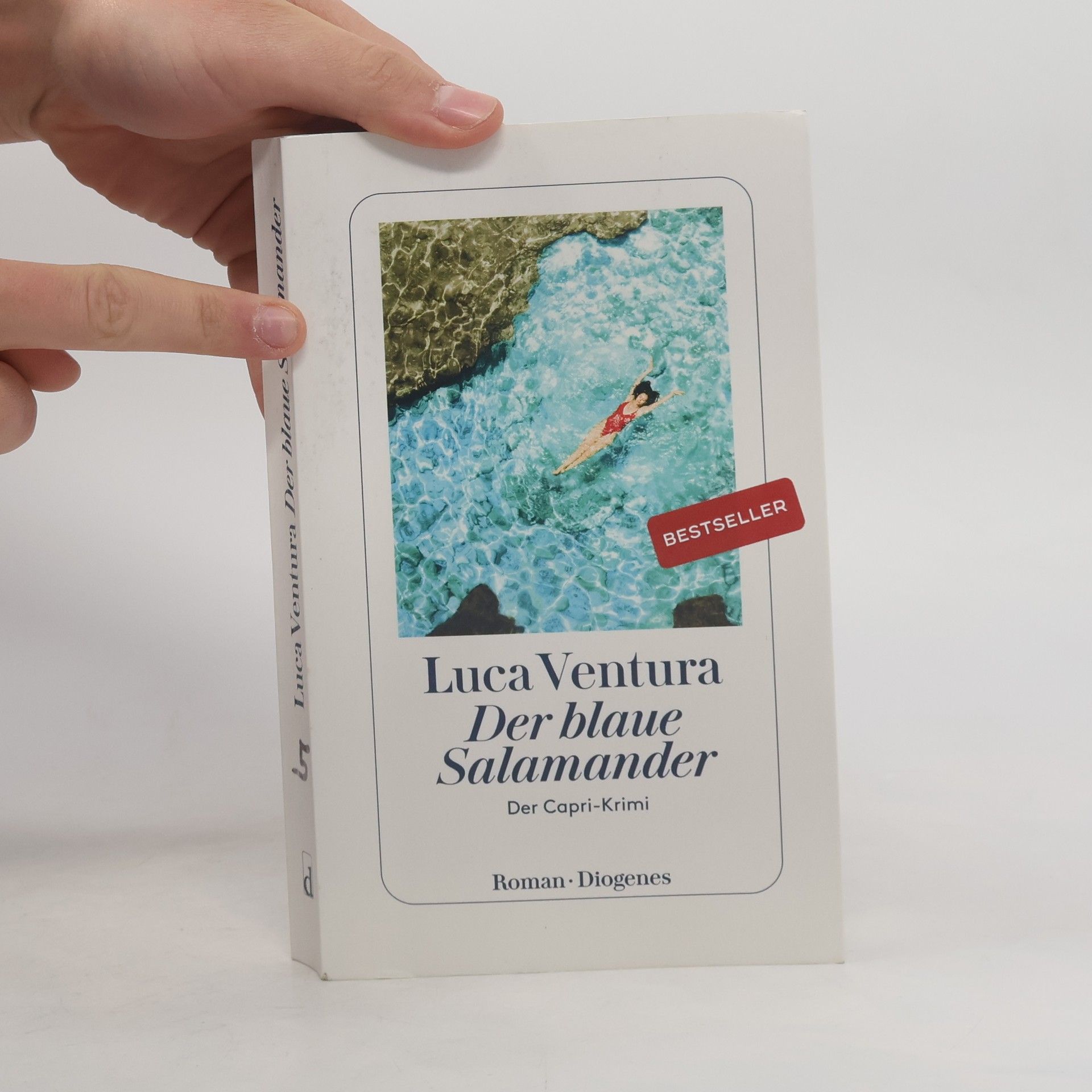 Luca Ventura Der blaue Salamander