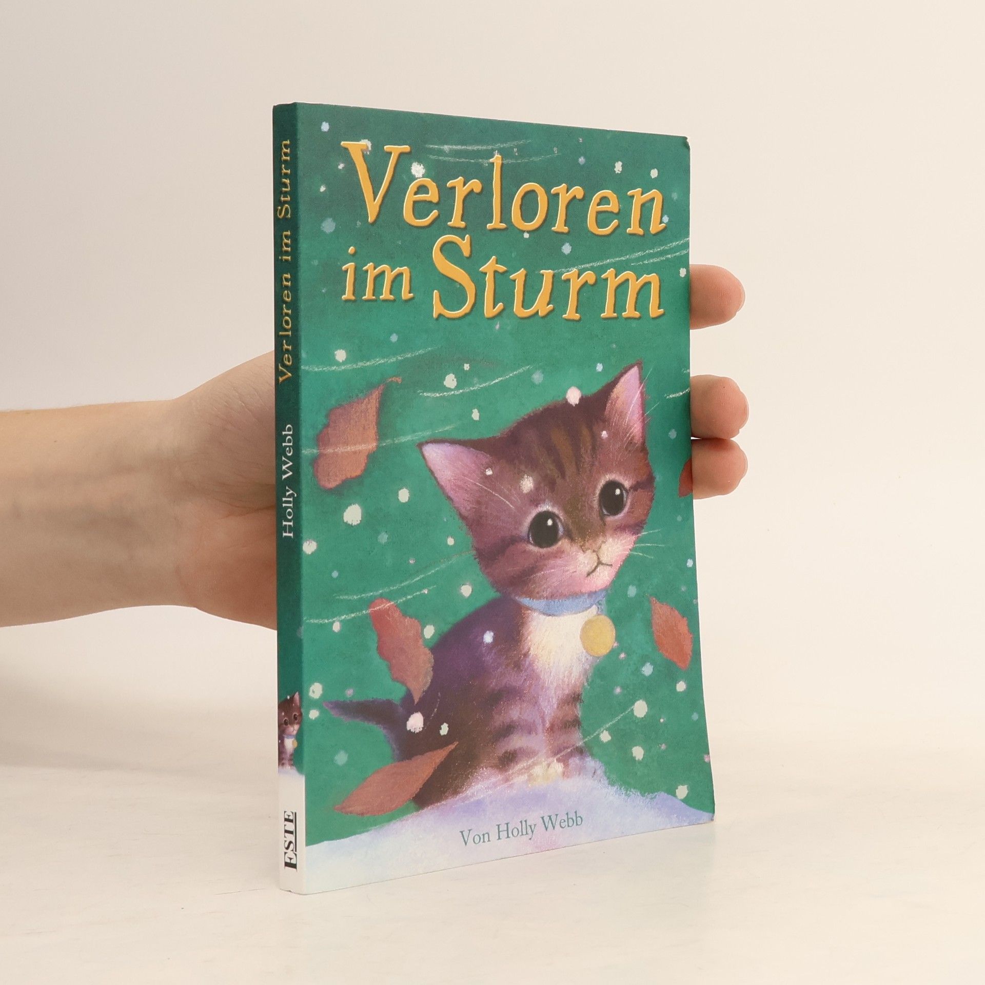 Verloren im Sturm