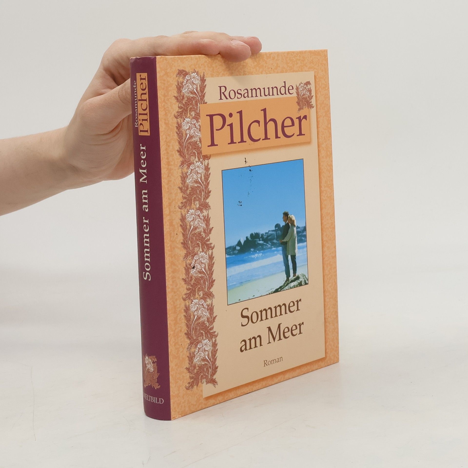 Rosamunde Pilcher Sommer am Meer