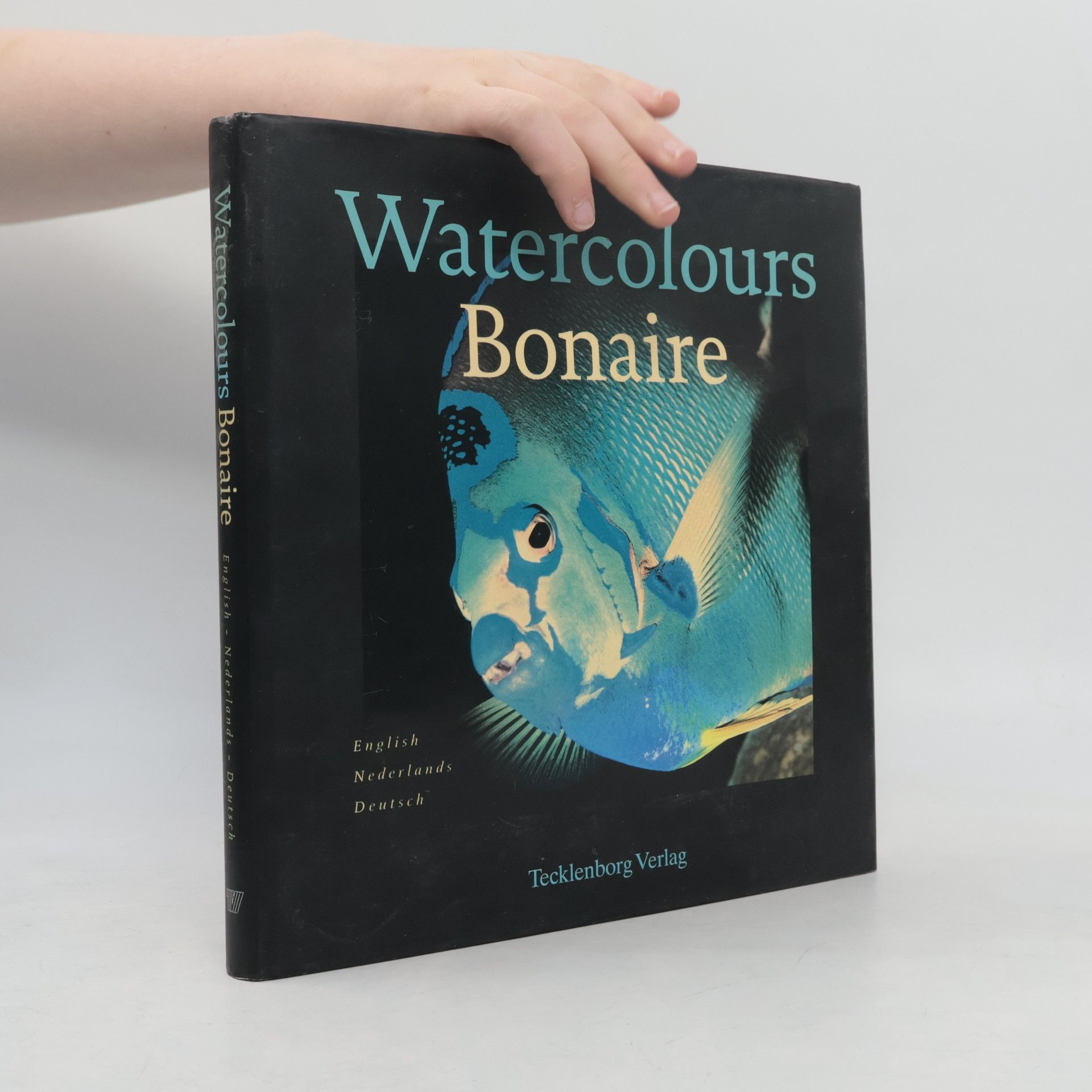 Watercolours Bonaire