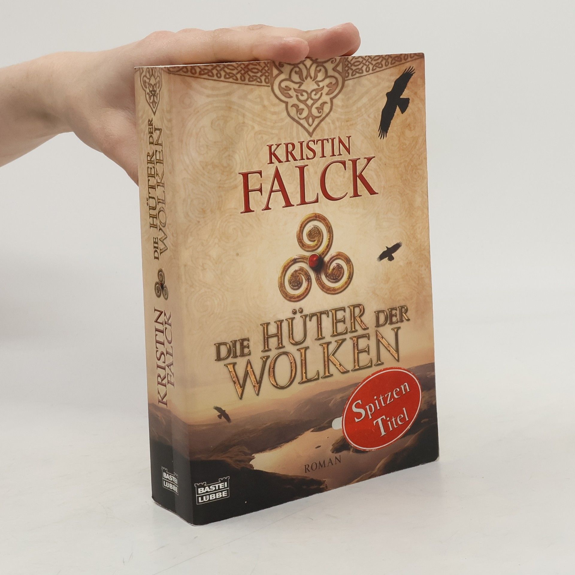 Kristin Falck Die Hüter der Wolken